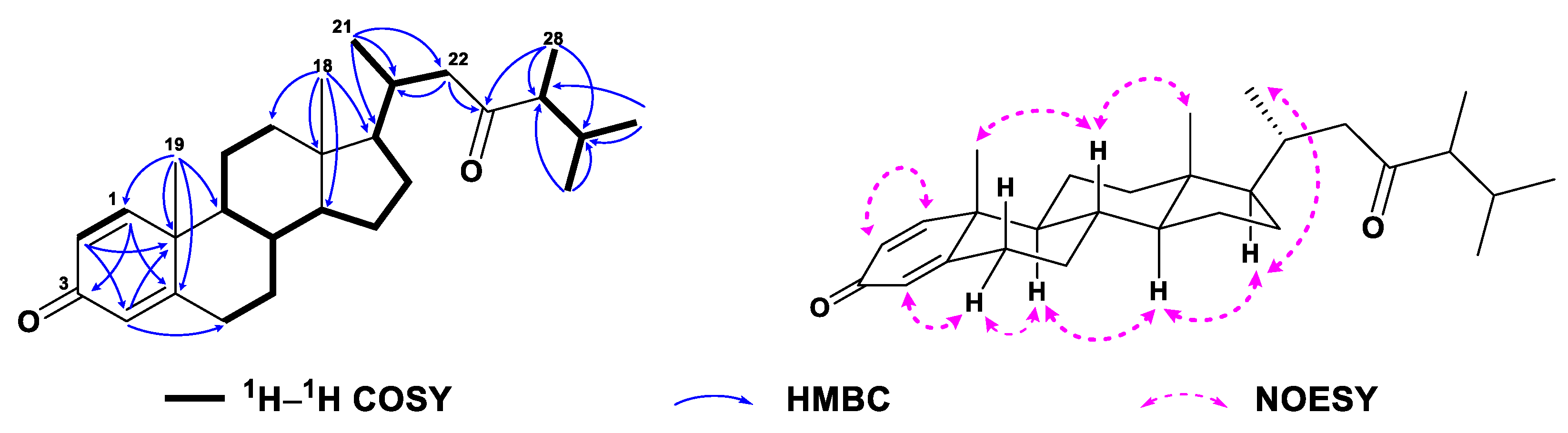 Marinedrugs 21 00457 g004