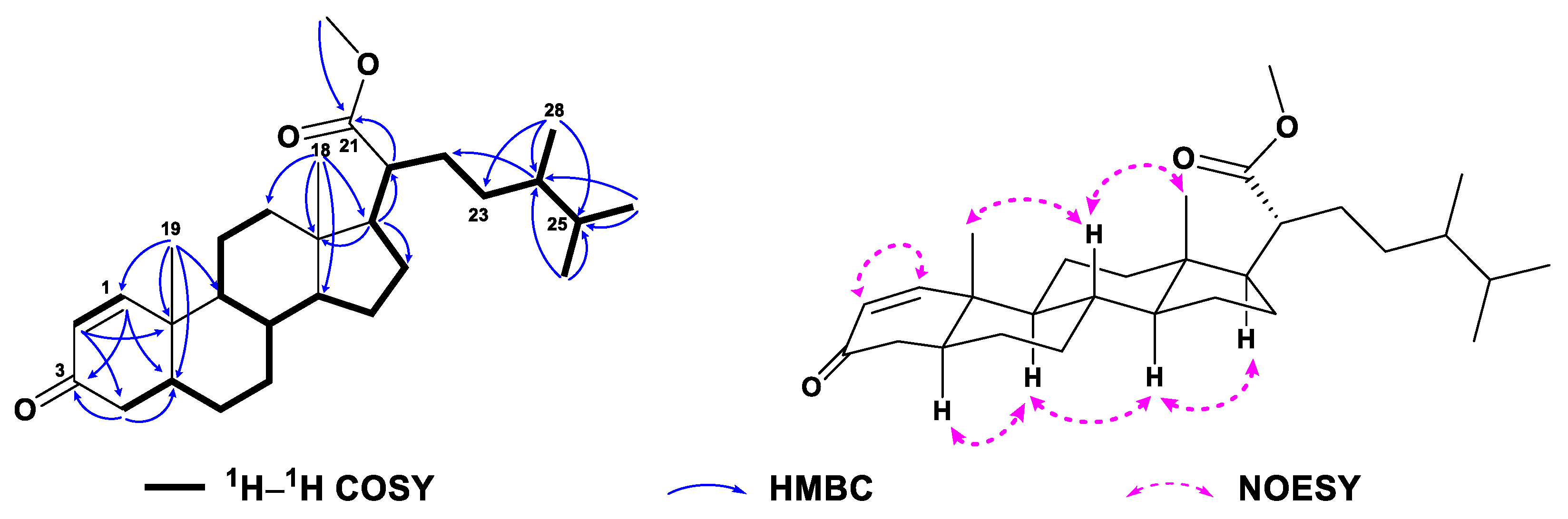 Marinedrugs 21 00457 g006