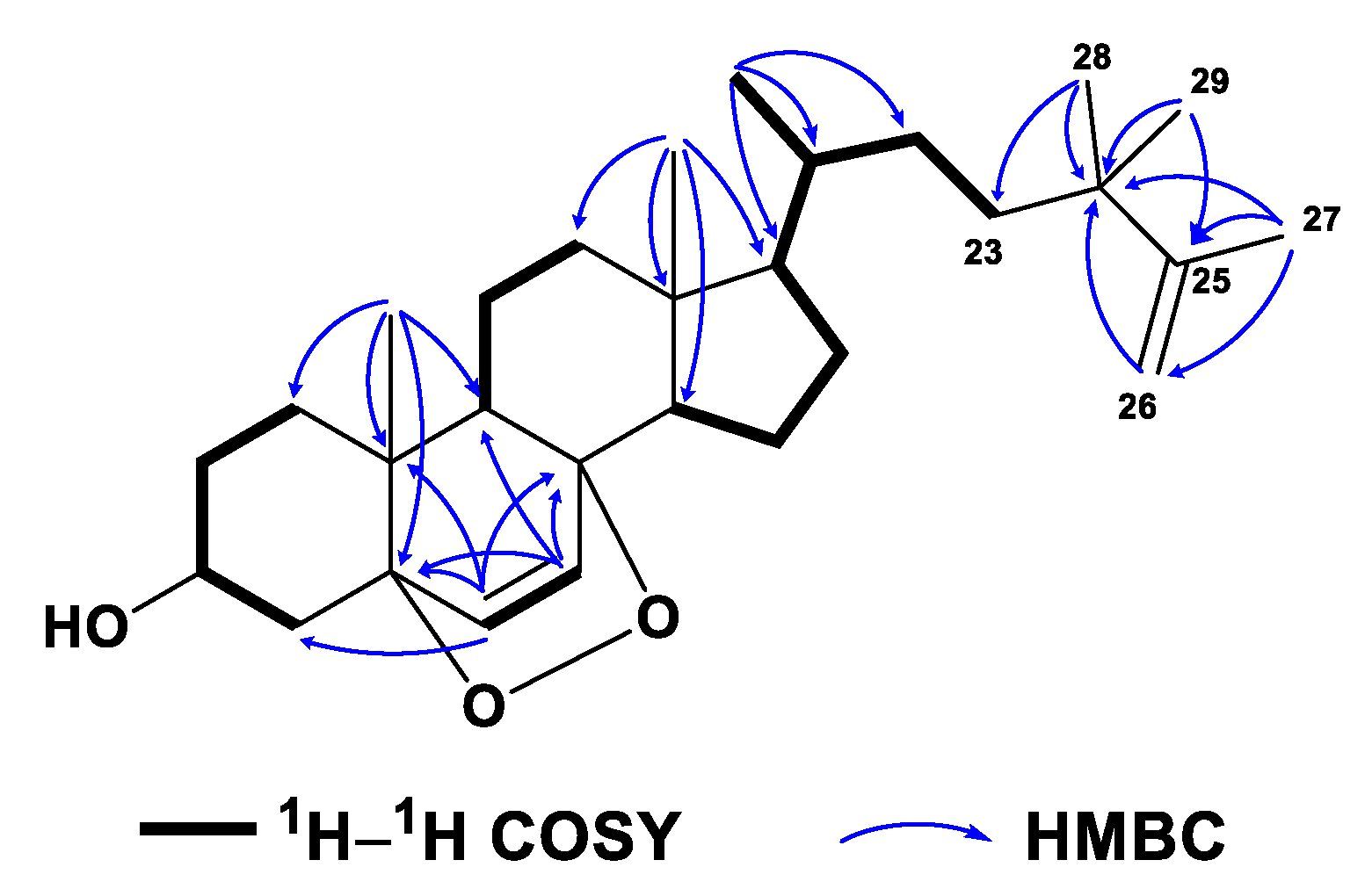Marinedrugs 21 00457 g008