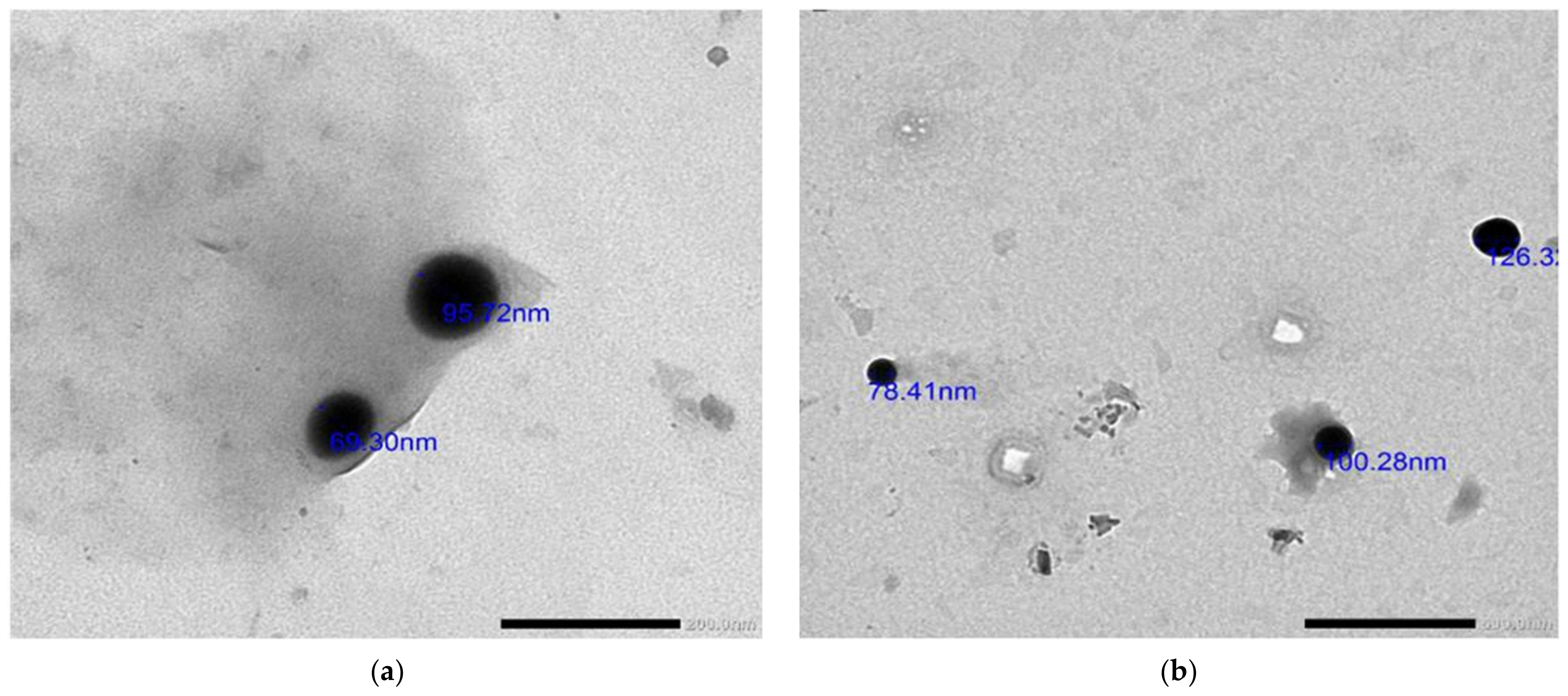 Marinedrugs 21 00459 g004