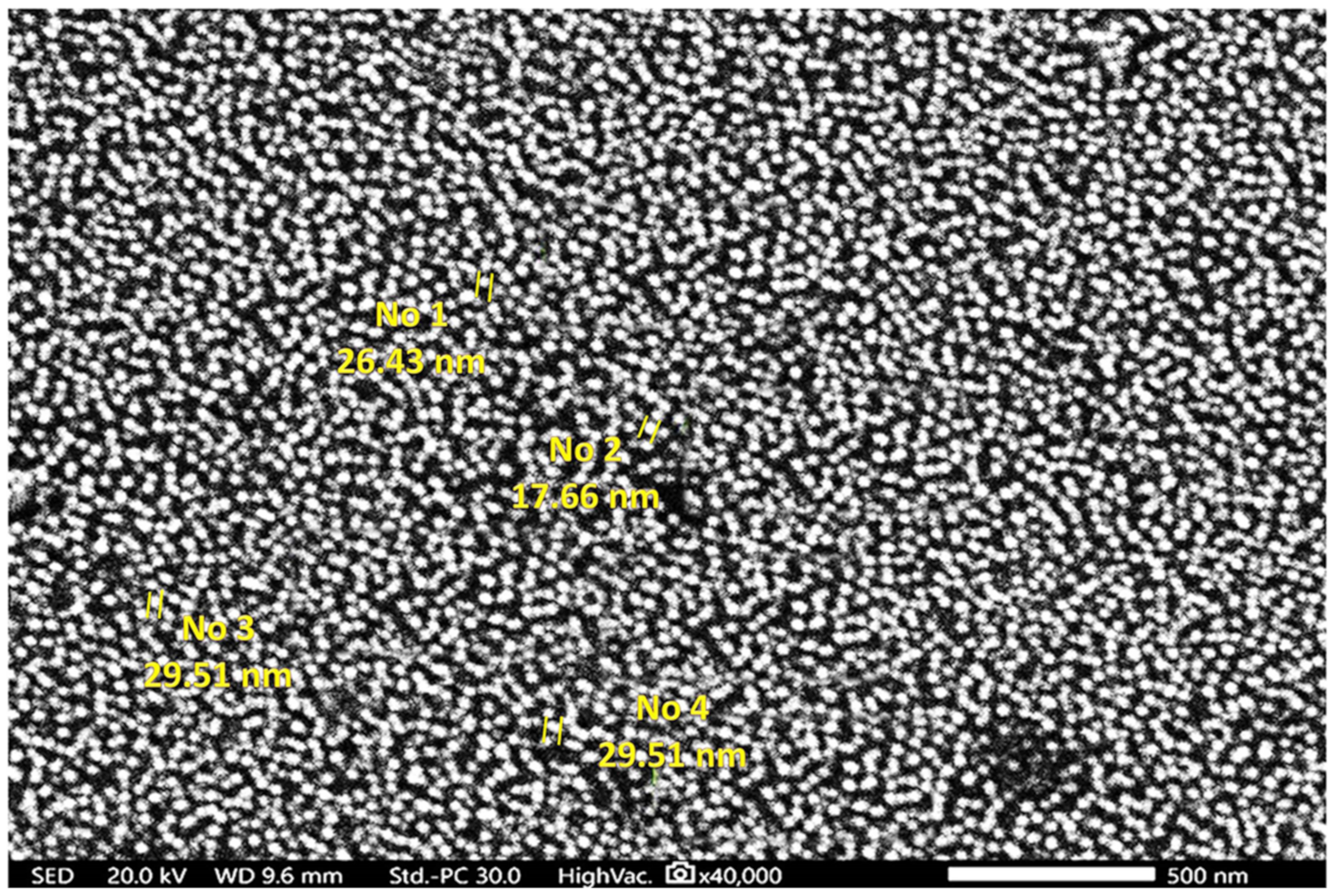 Marinedrugs 21 00459 g005