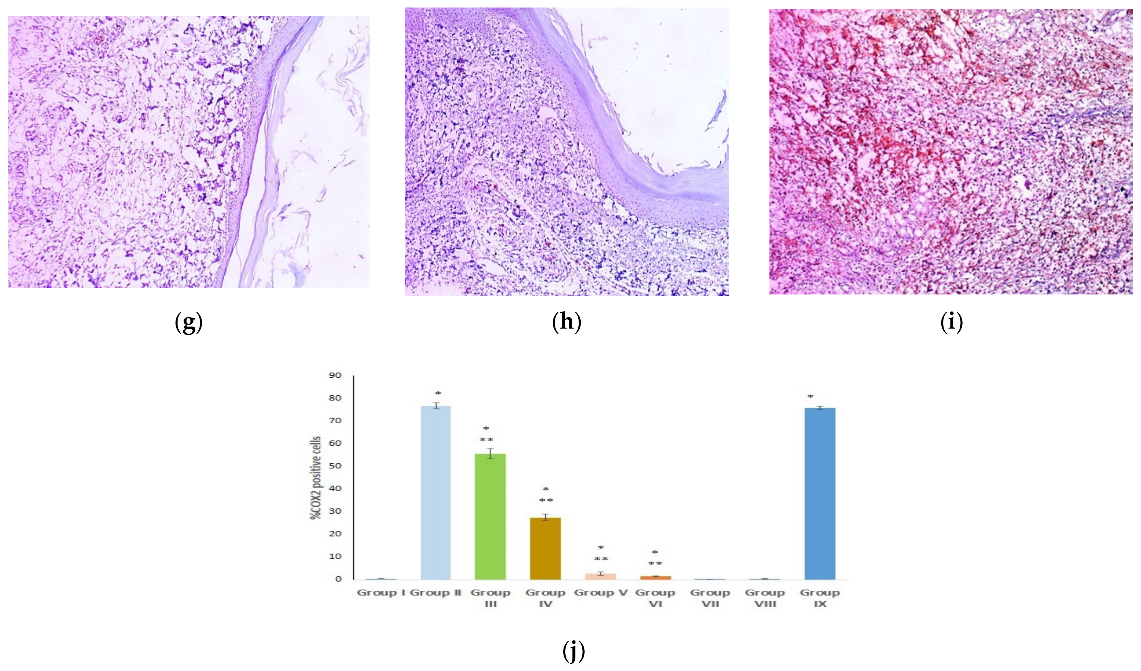 Marinedrugs 21 00459 g012b