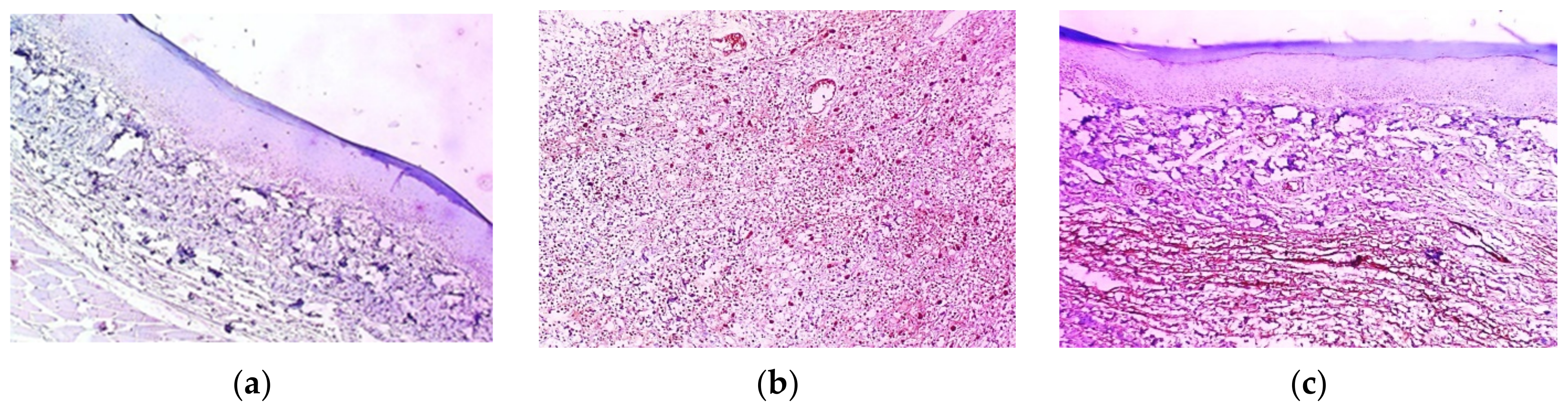 Marinedrugs 21 00459 g013a