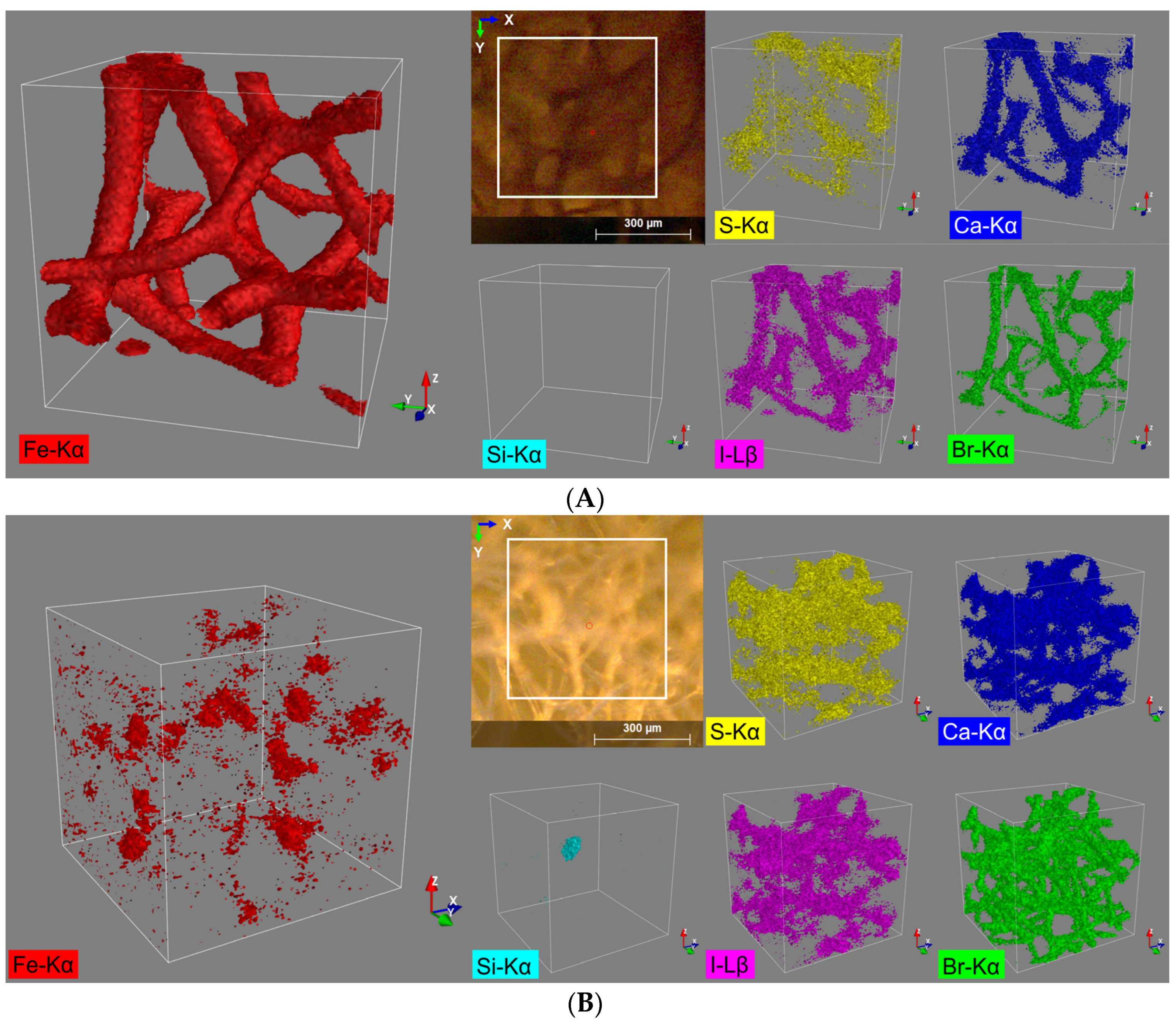 Marinedrugs 21 00460 g002