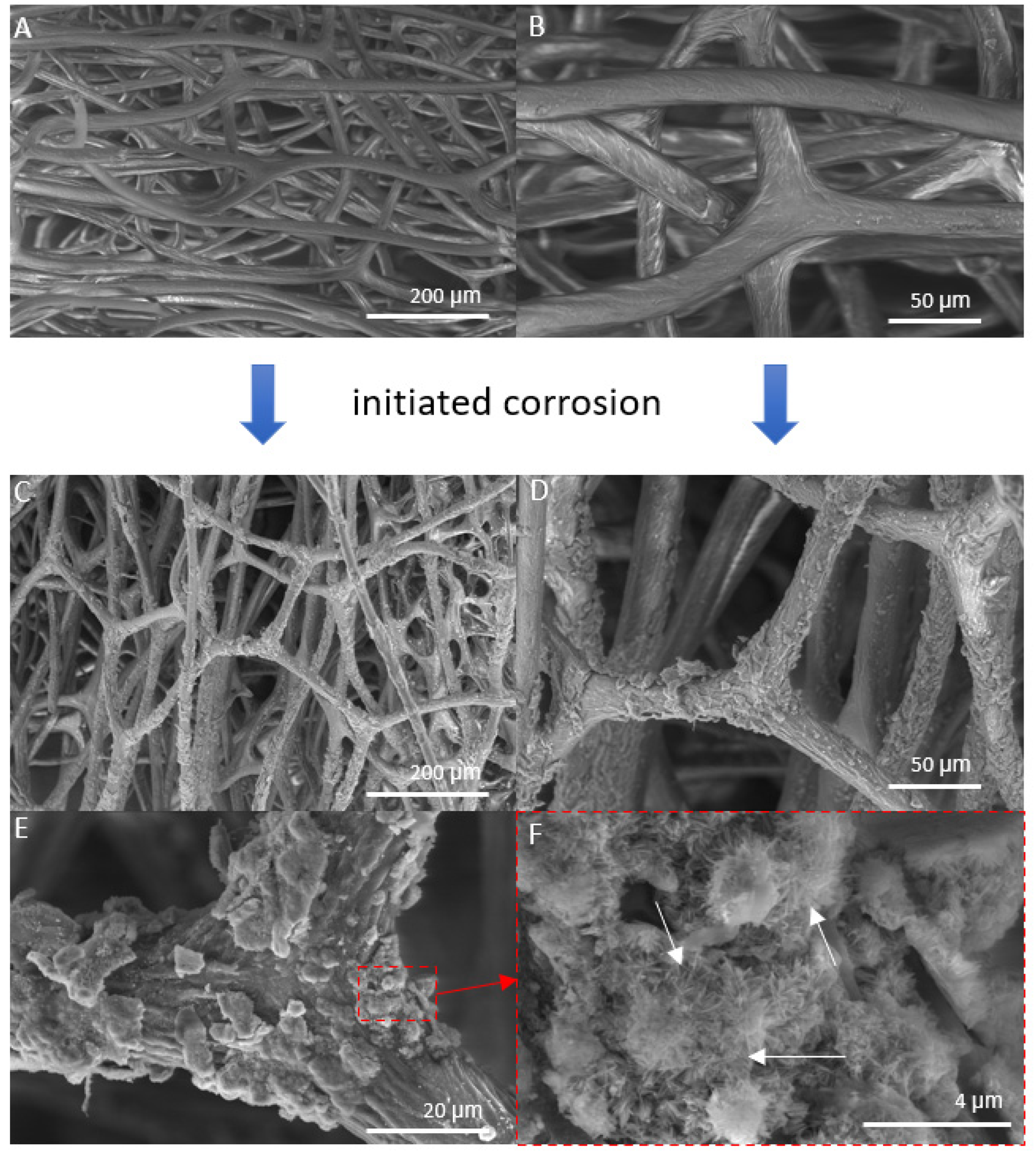 Marinedrugs 21 00460 g004