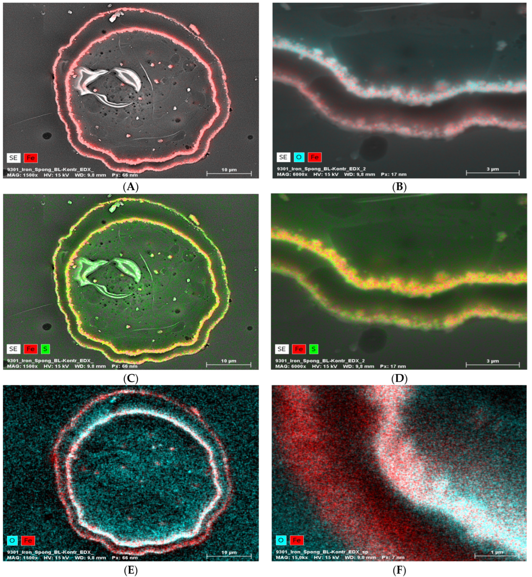Marinedrugs 21 00460 g007
