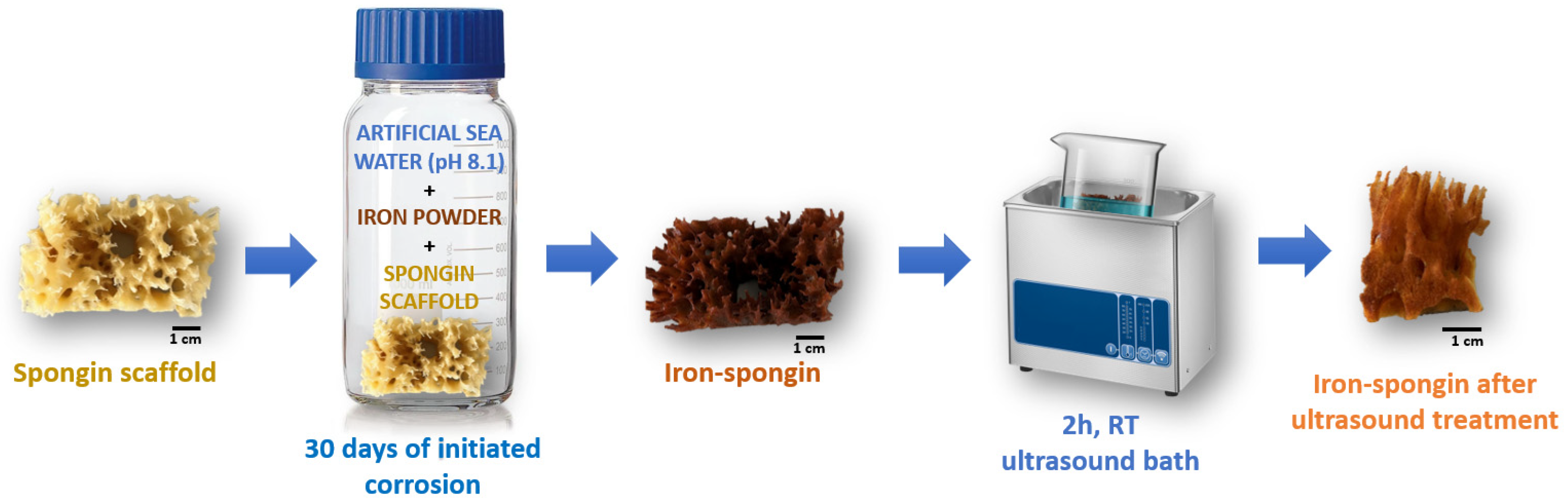 Marinedrugs 21 00460 g015