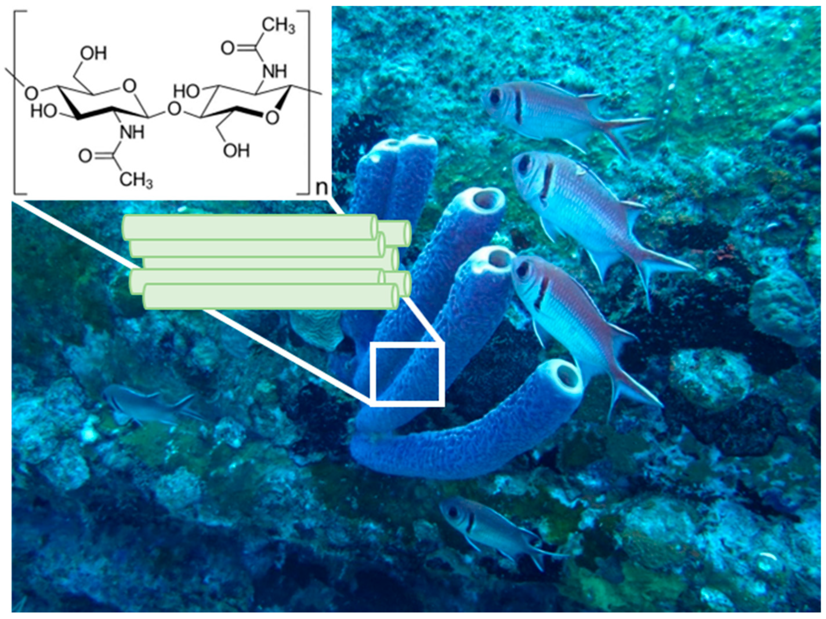 Marinedrugs 21 00463 g001