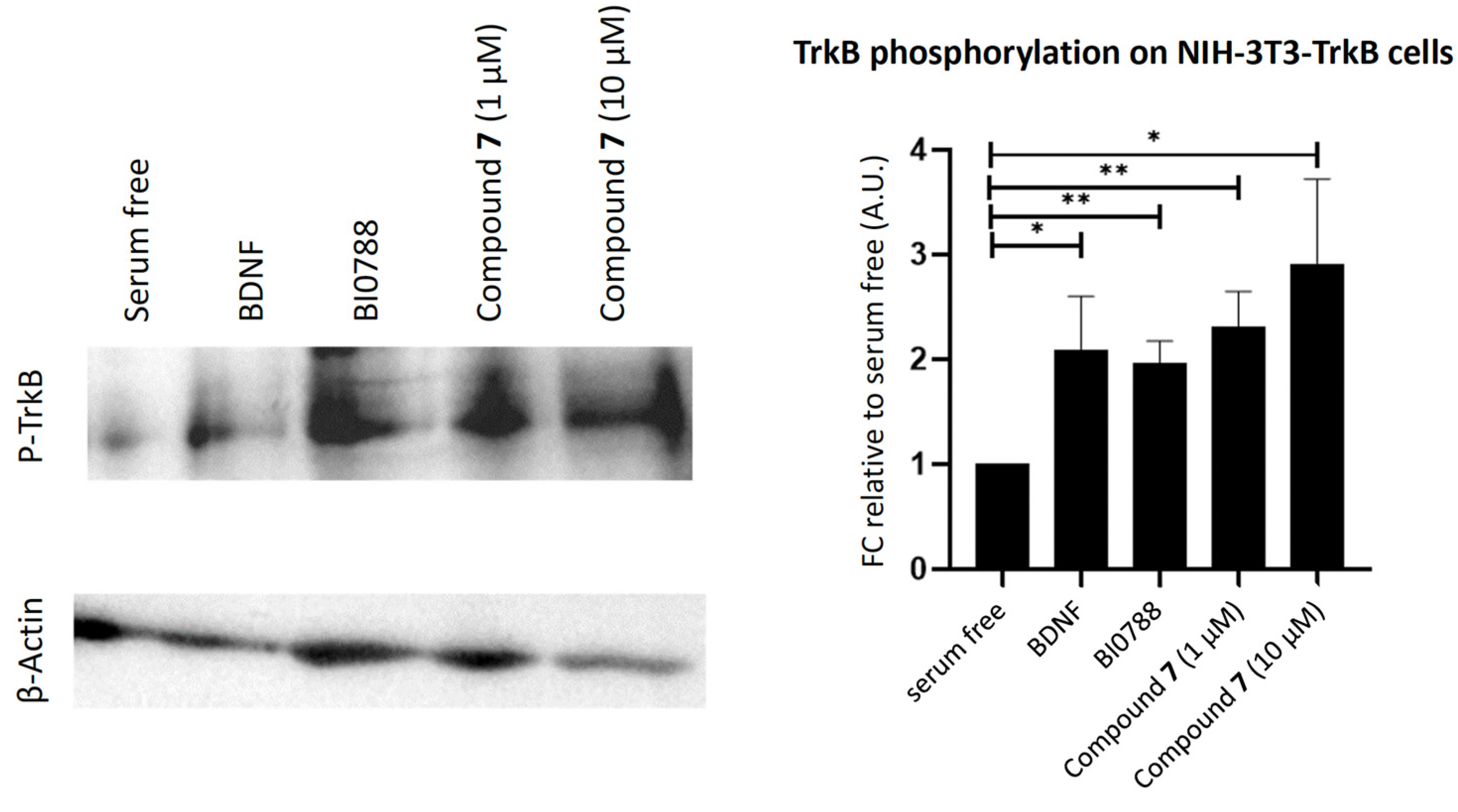 Marinedrugs 21 00465 g007