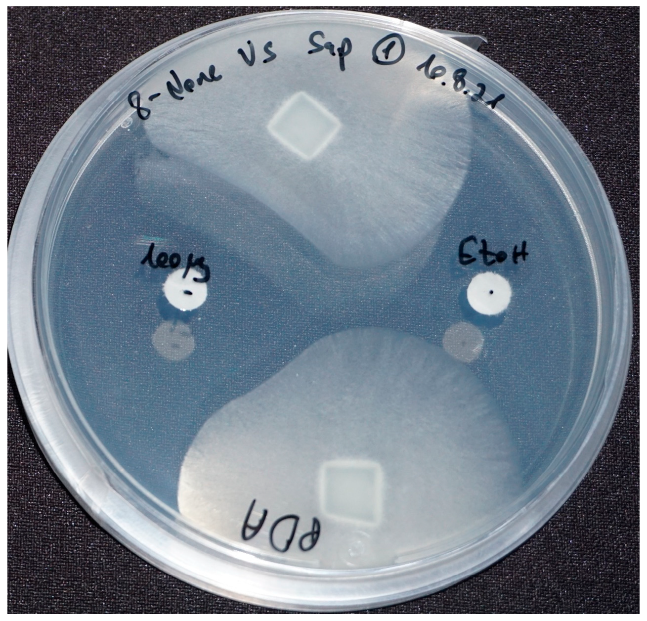 Marinedrugs 21 00476 g002