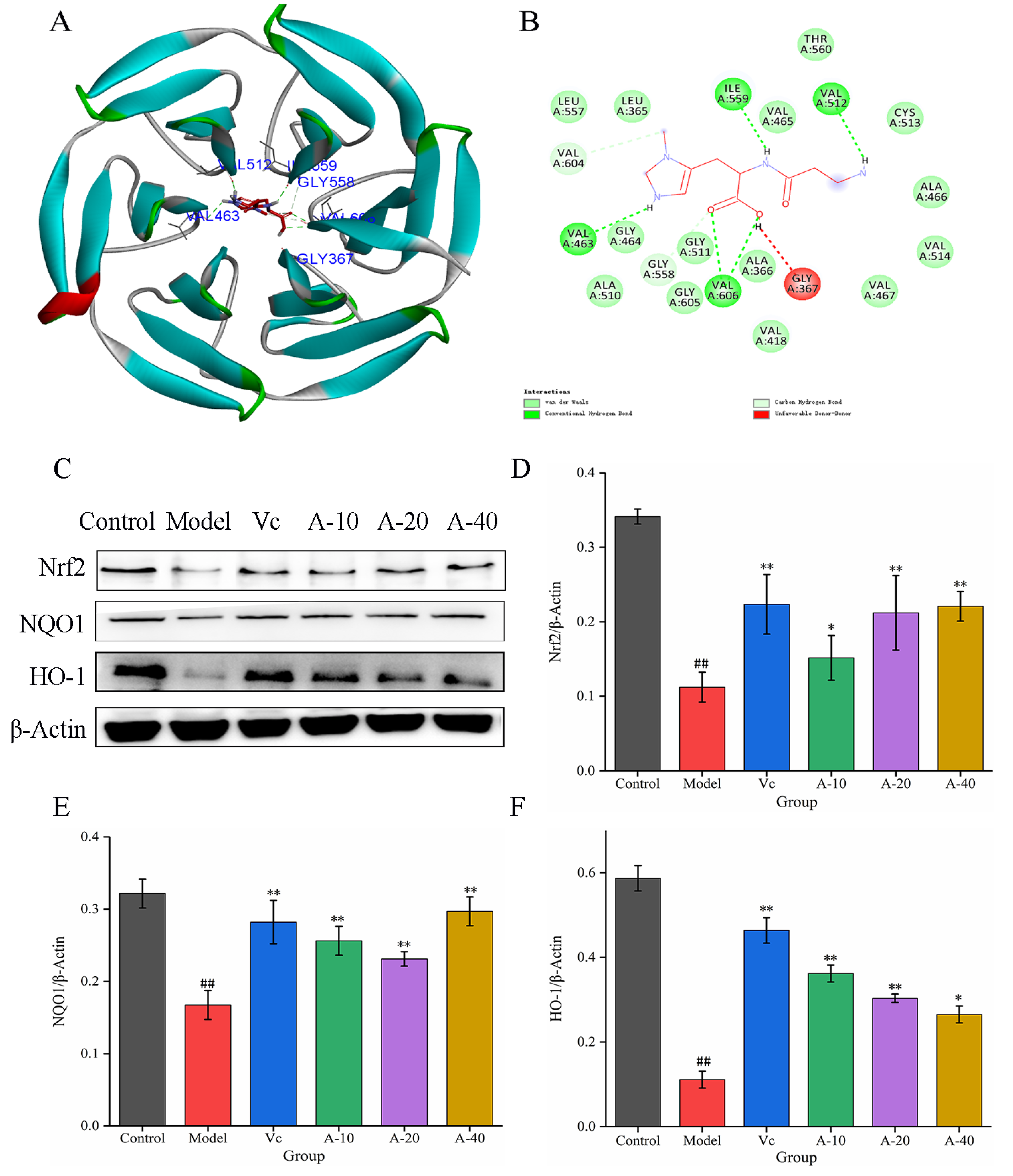 Marinedrugs 21 00477 g005