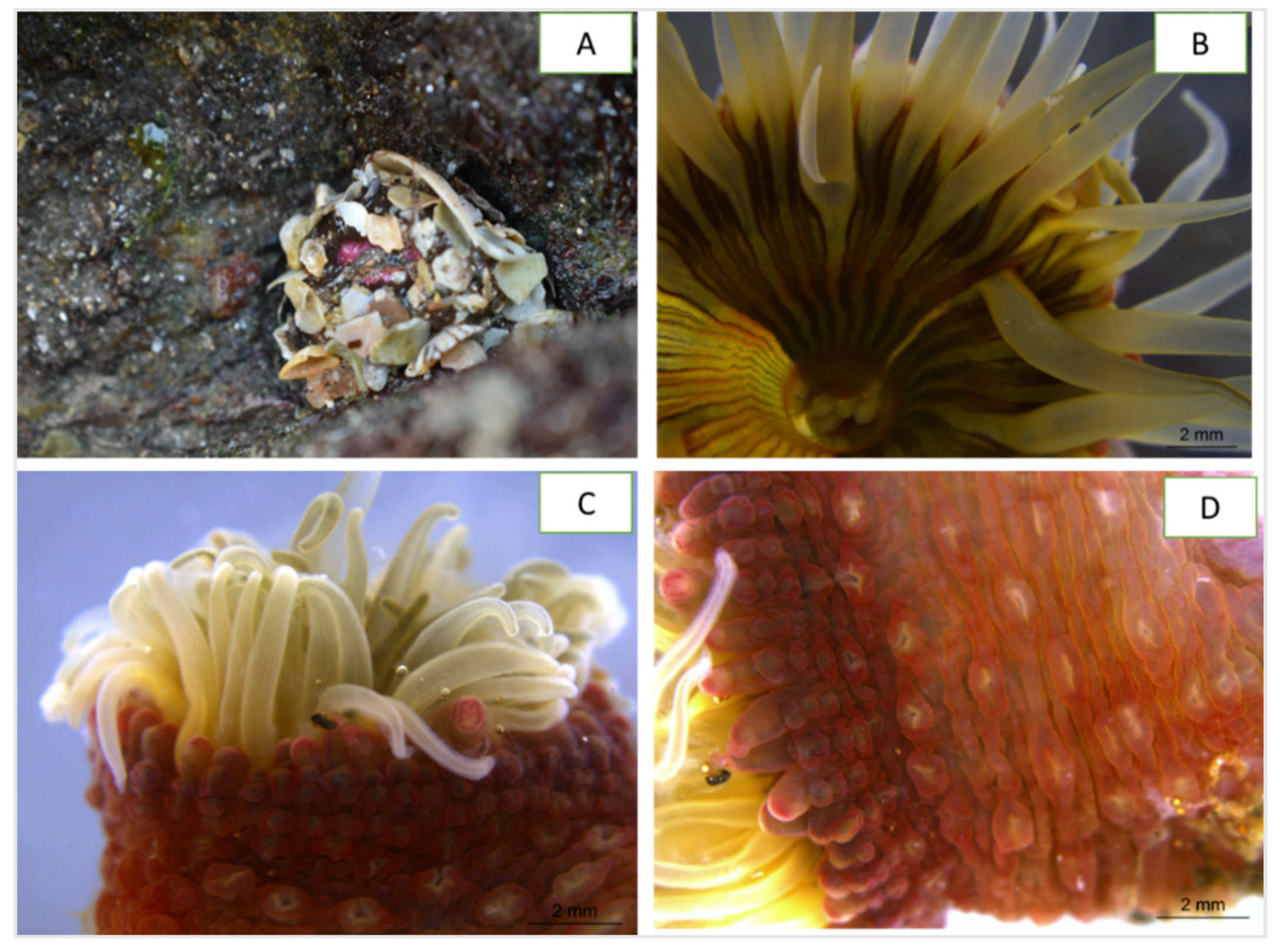 Marinedrugs 21 00481 g001