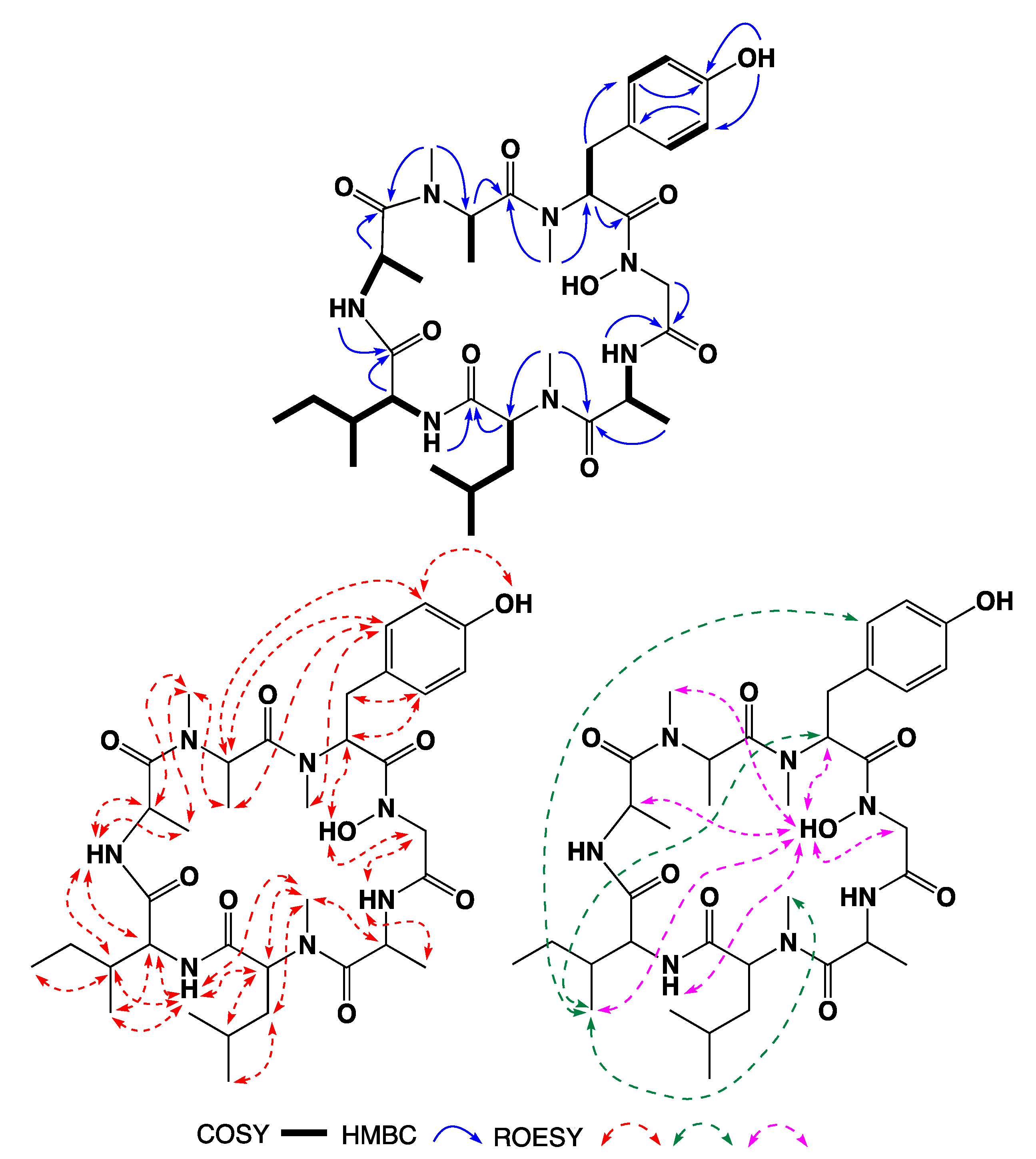 Marinedrugs 21 00487 g005
