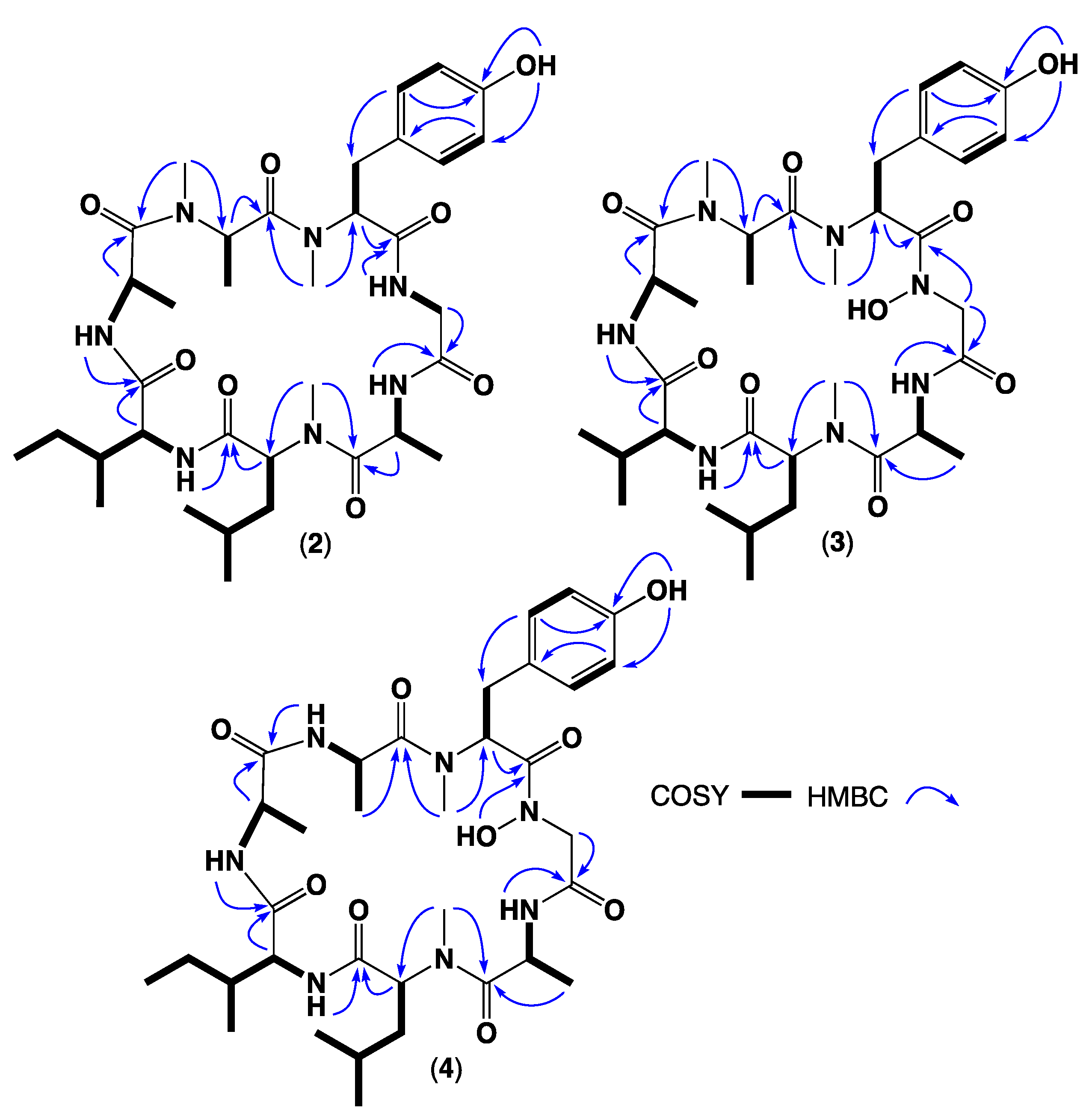 Marinedrugs 21 00487 g006