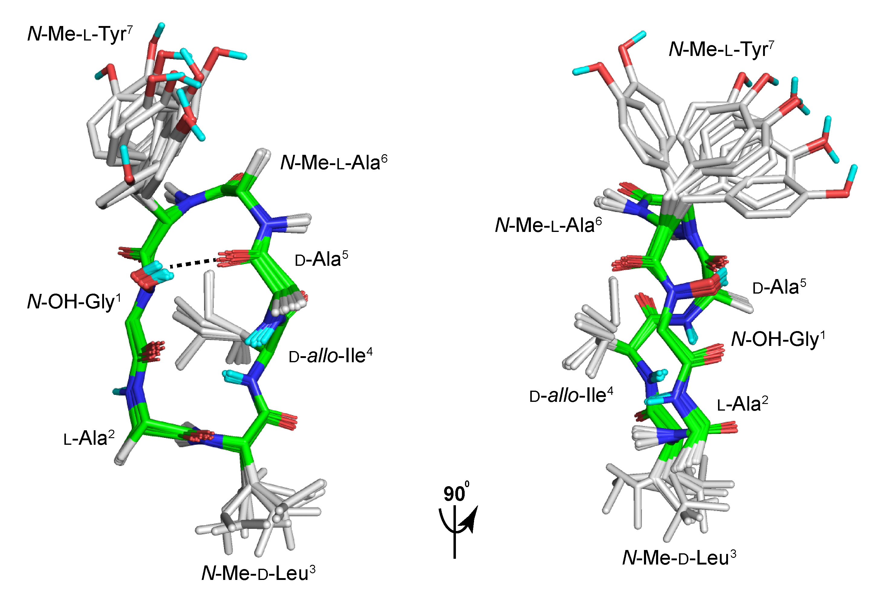 Marinedrugs 21 00487 g007