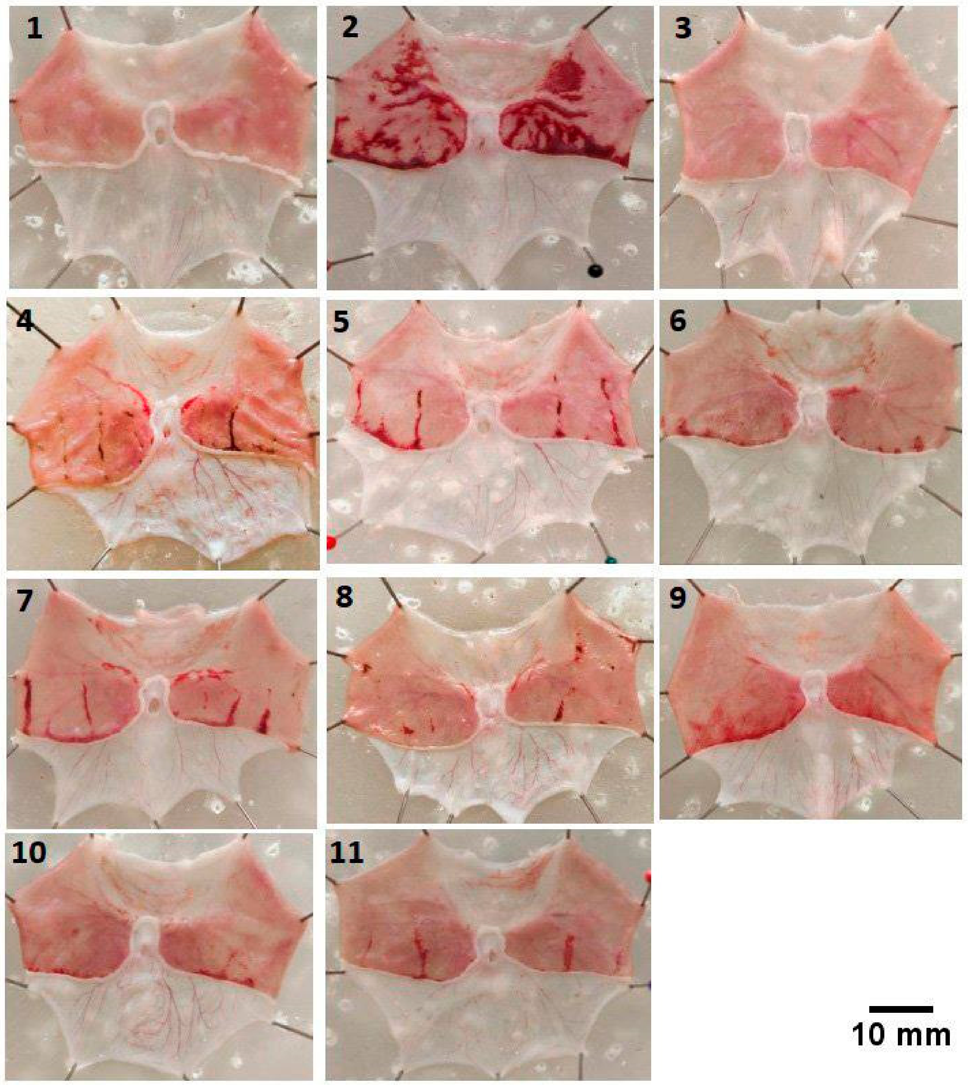 Marinedrugs 21 00488 g004