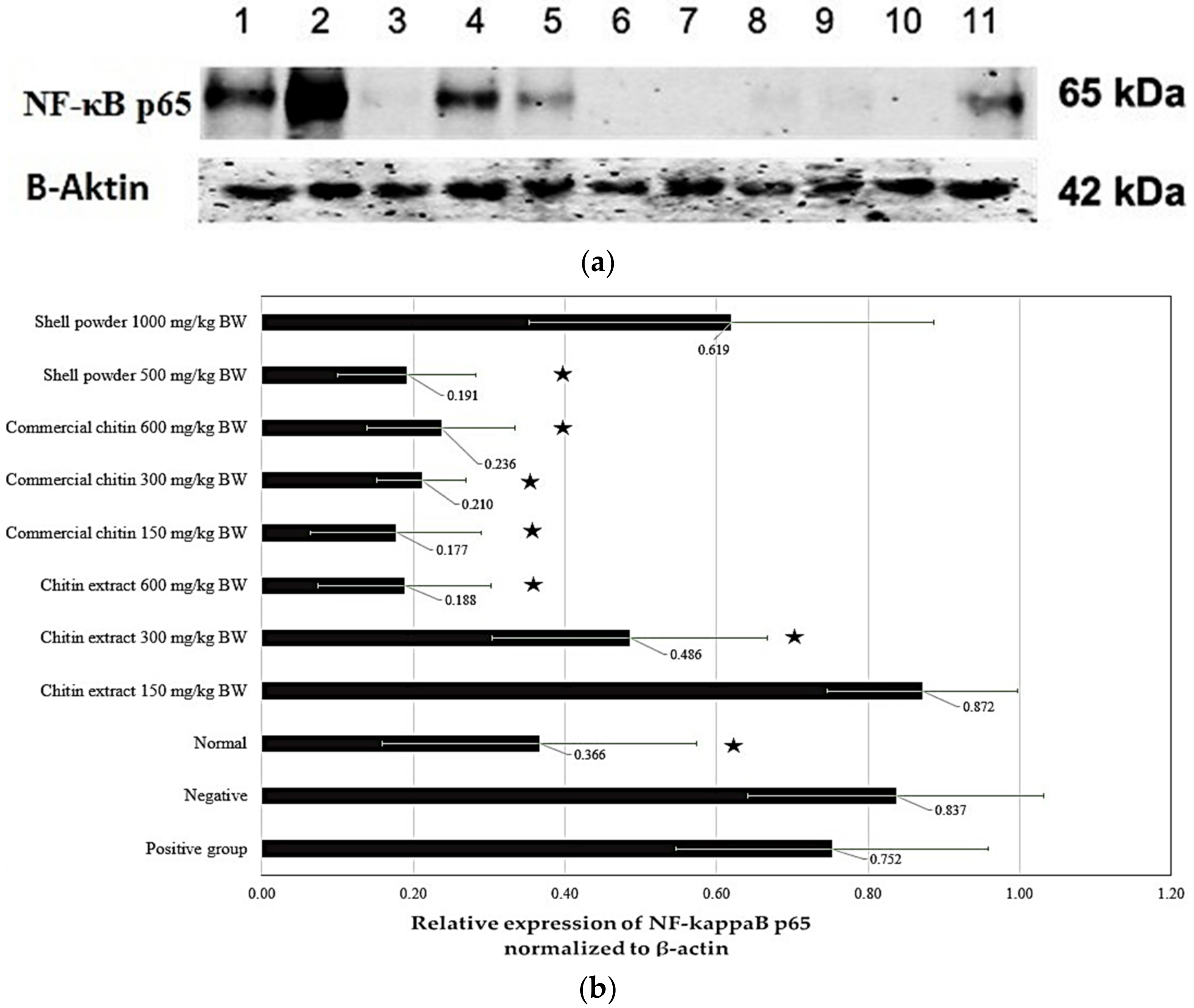 Marinedrugs 21 00488 g005