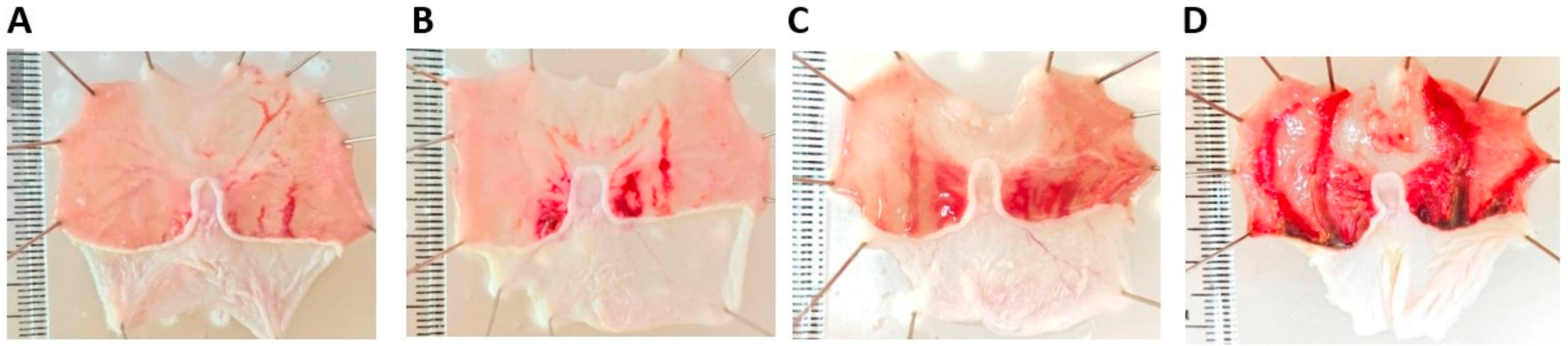 Marinedrugs 21 00488 g006