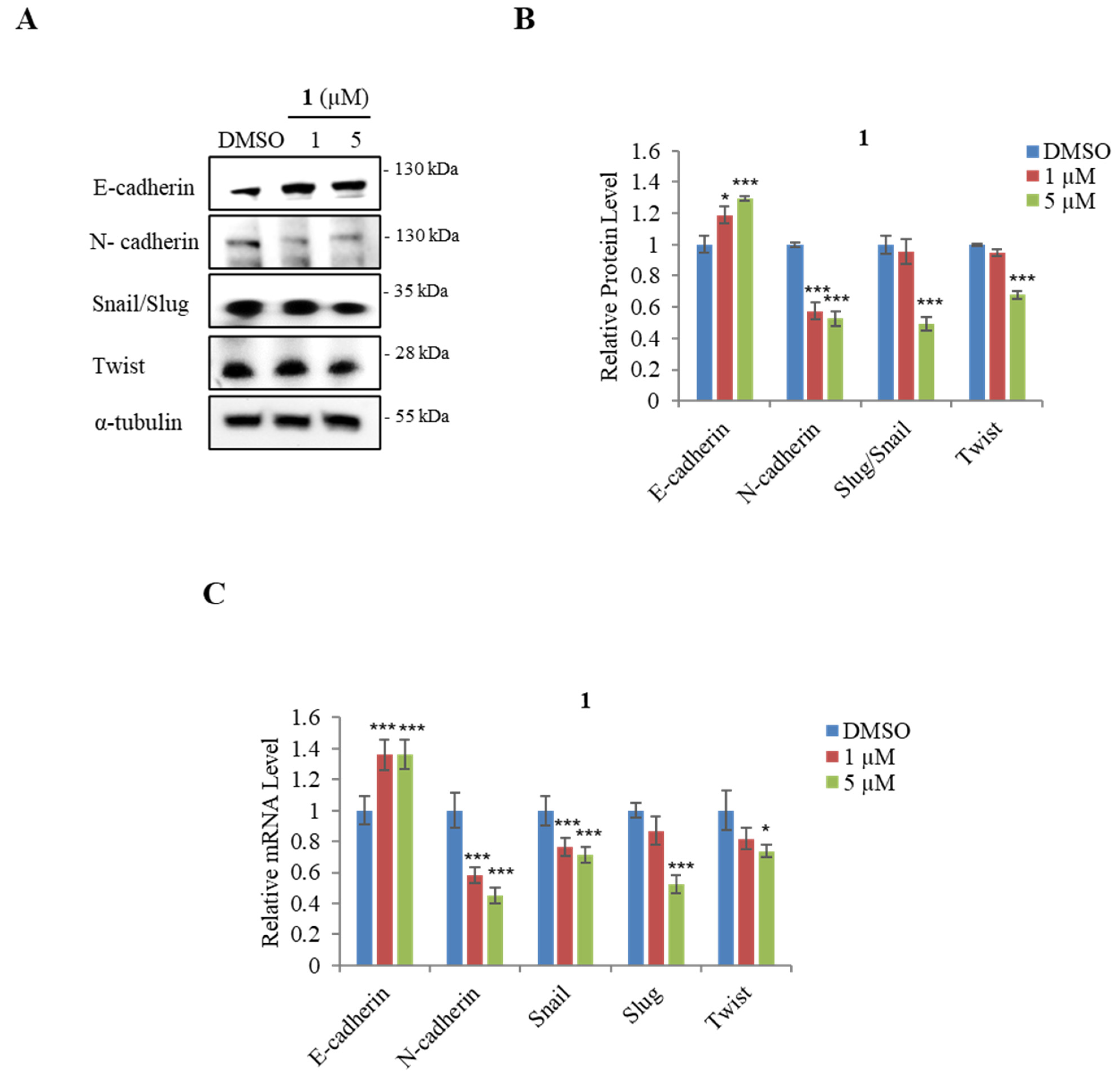 Marinedrugs 21 00489 g005 Marinedrugs 21 00489 g005
