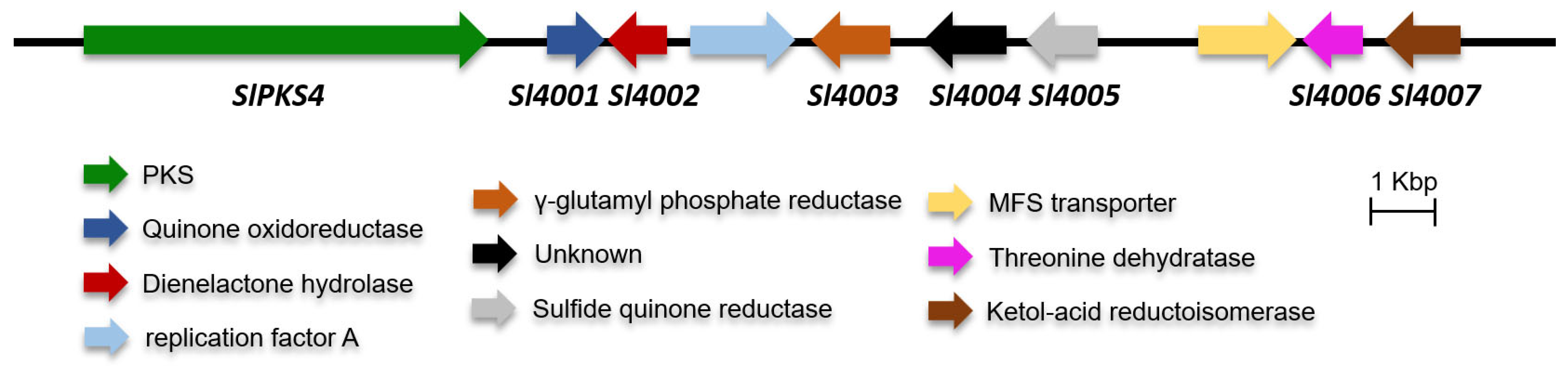 Marinedrugs 21 00490 g002