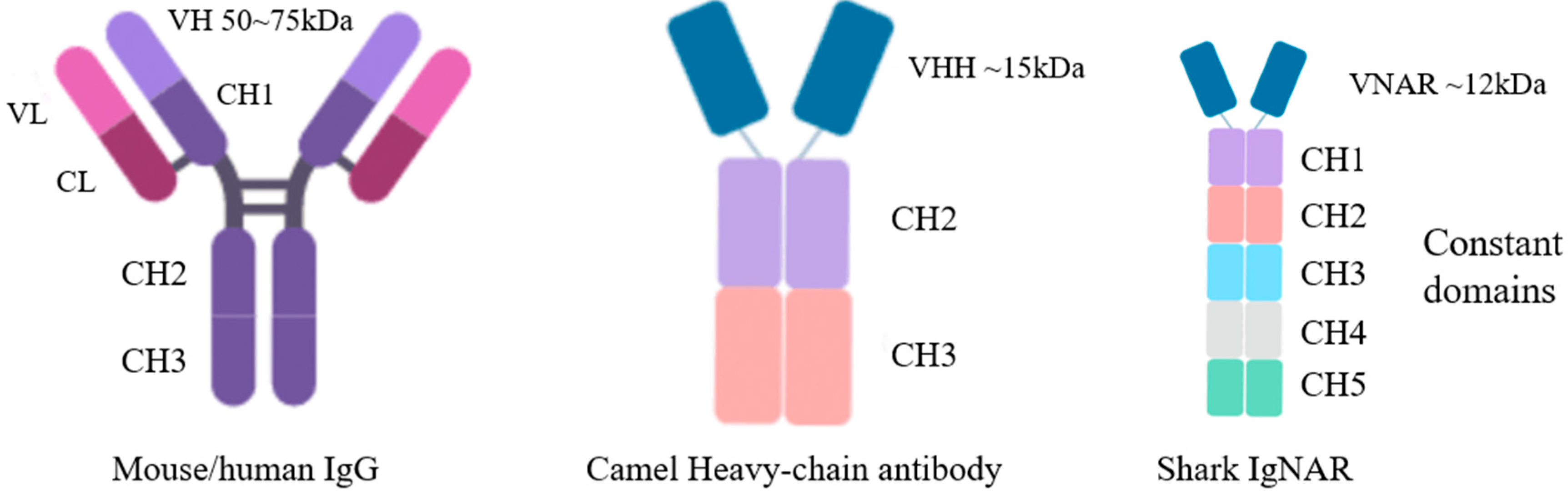 Marinedrugs 21 00496 g001