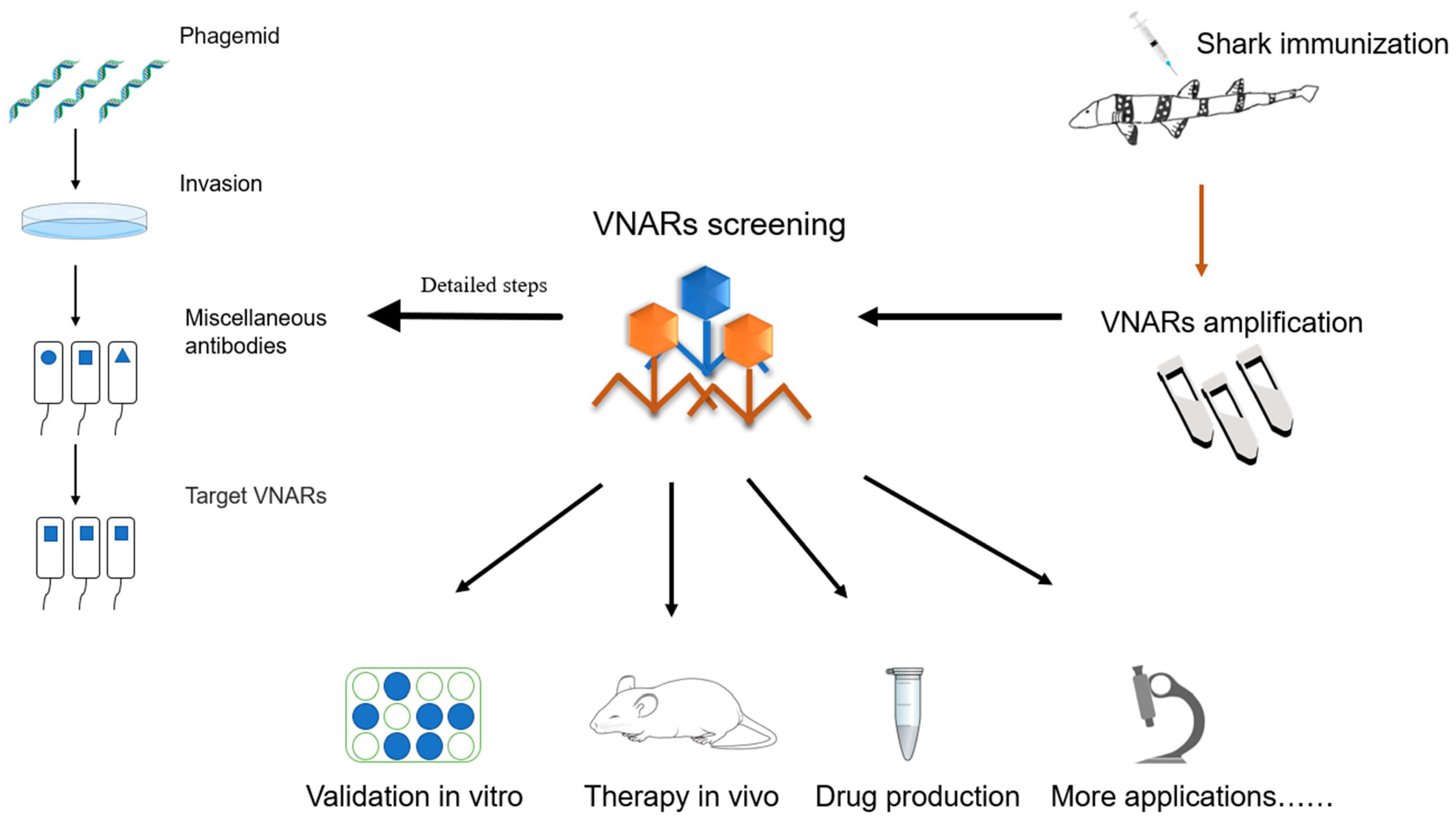 Marinedrugs 21 00496 g004