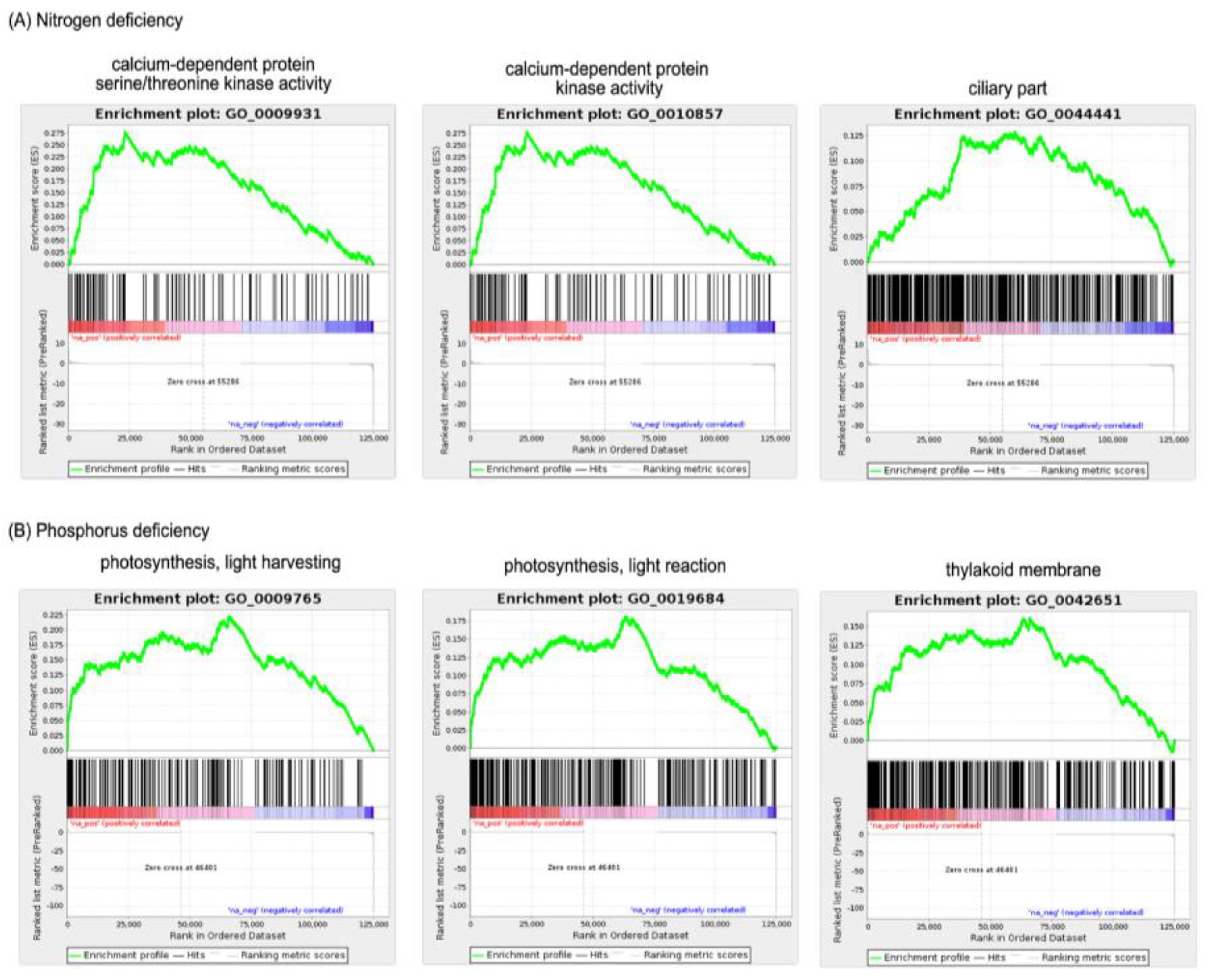 Marinedrugs 21 00497 g003