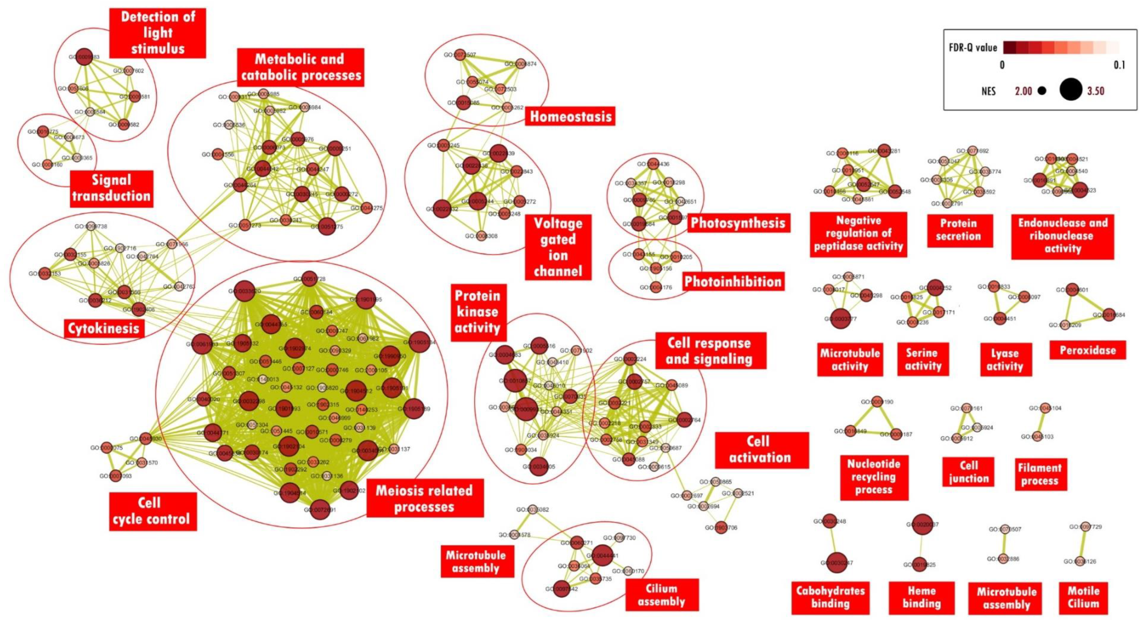 Marinedrugs 21 00497 g004