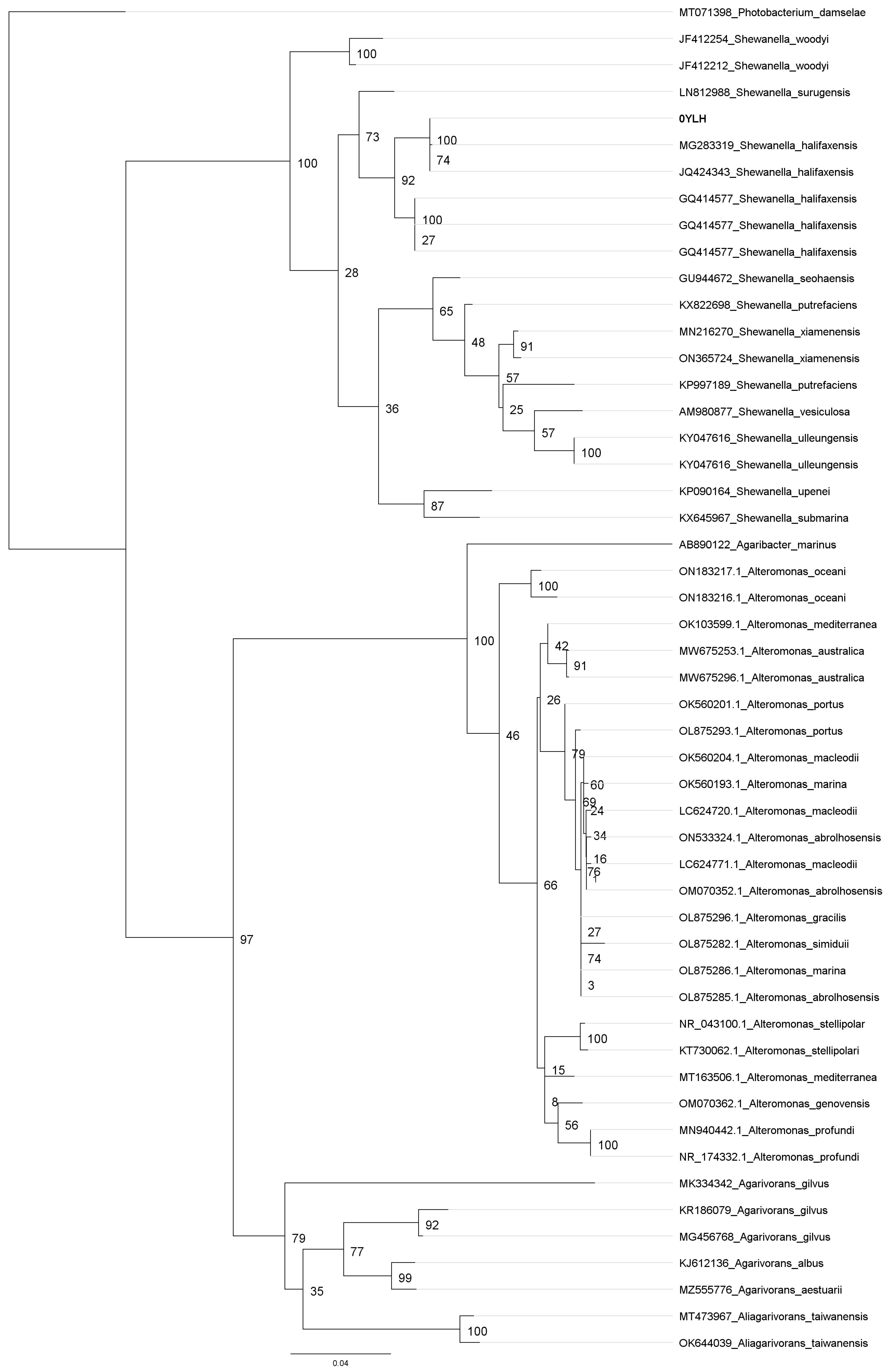 Marinedrugs 21 00501 g001