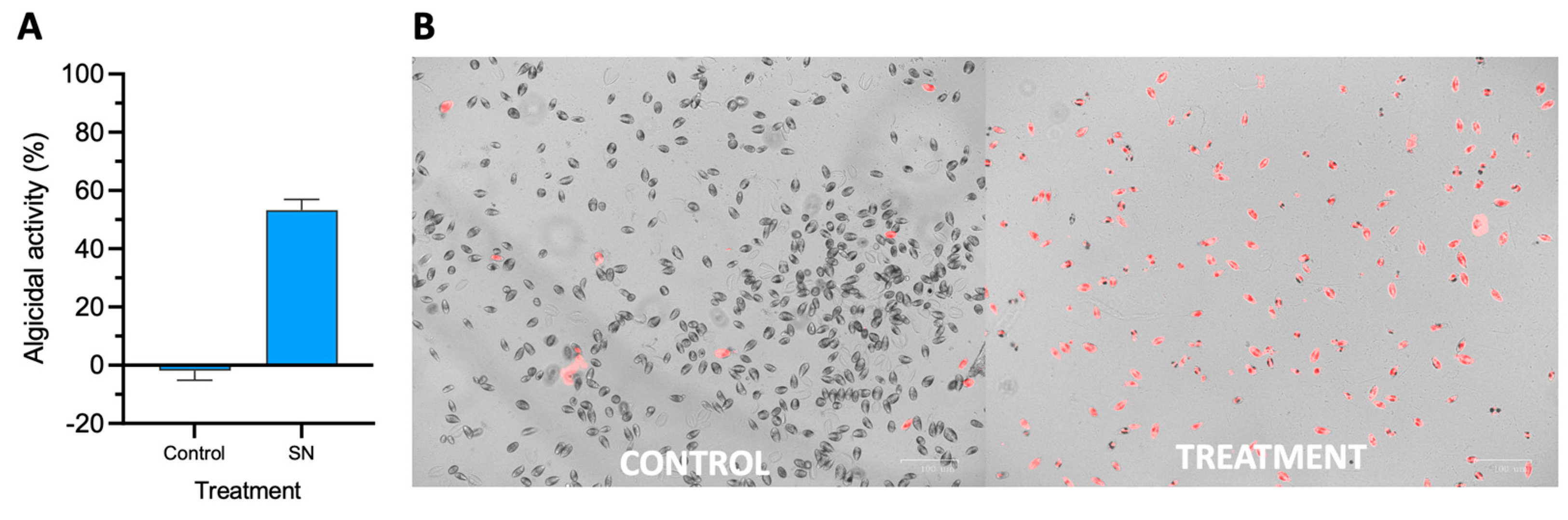 Marinedrugs 21 00501 g002