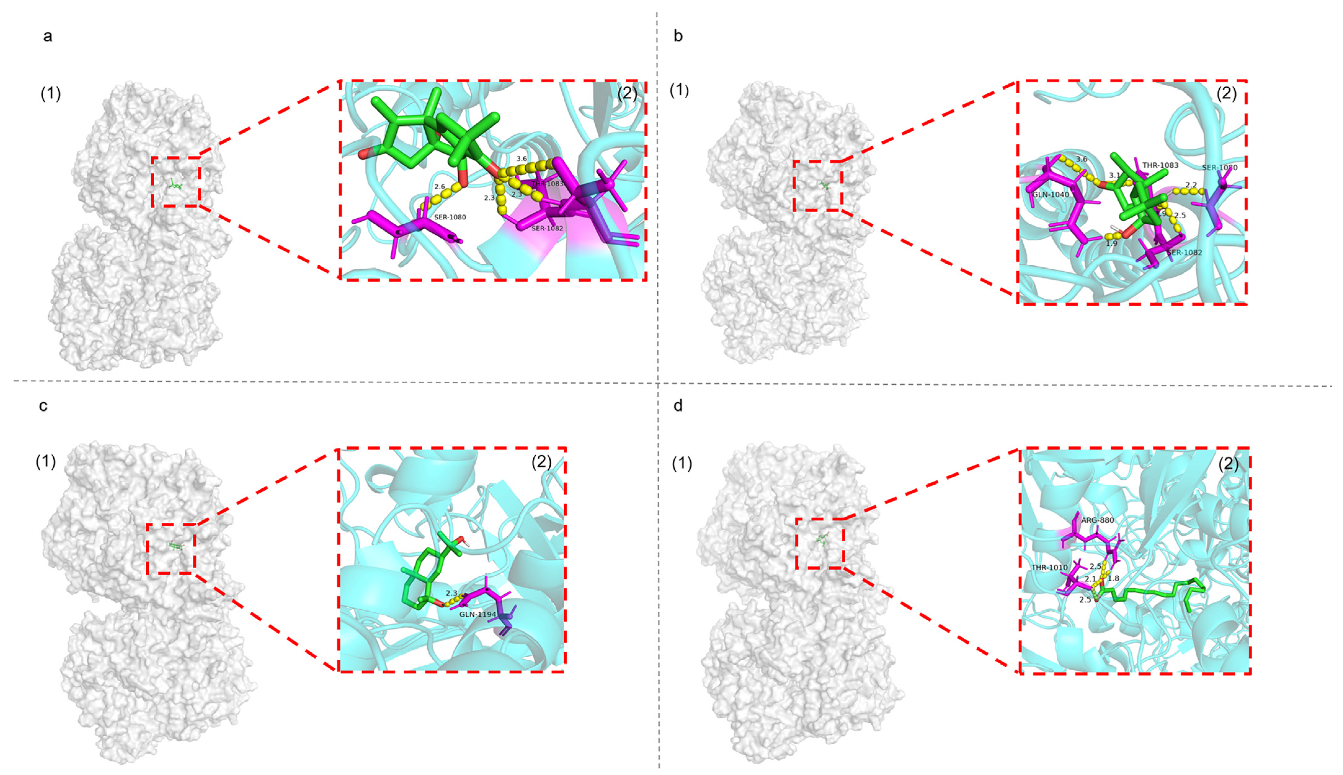 Marinedrugs 21 00502 g007 Marinedrugs 21 00502 g007