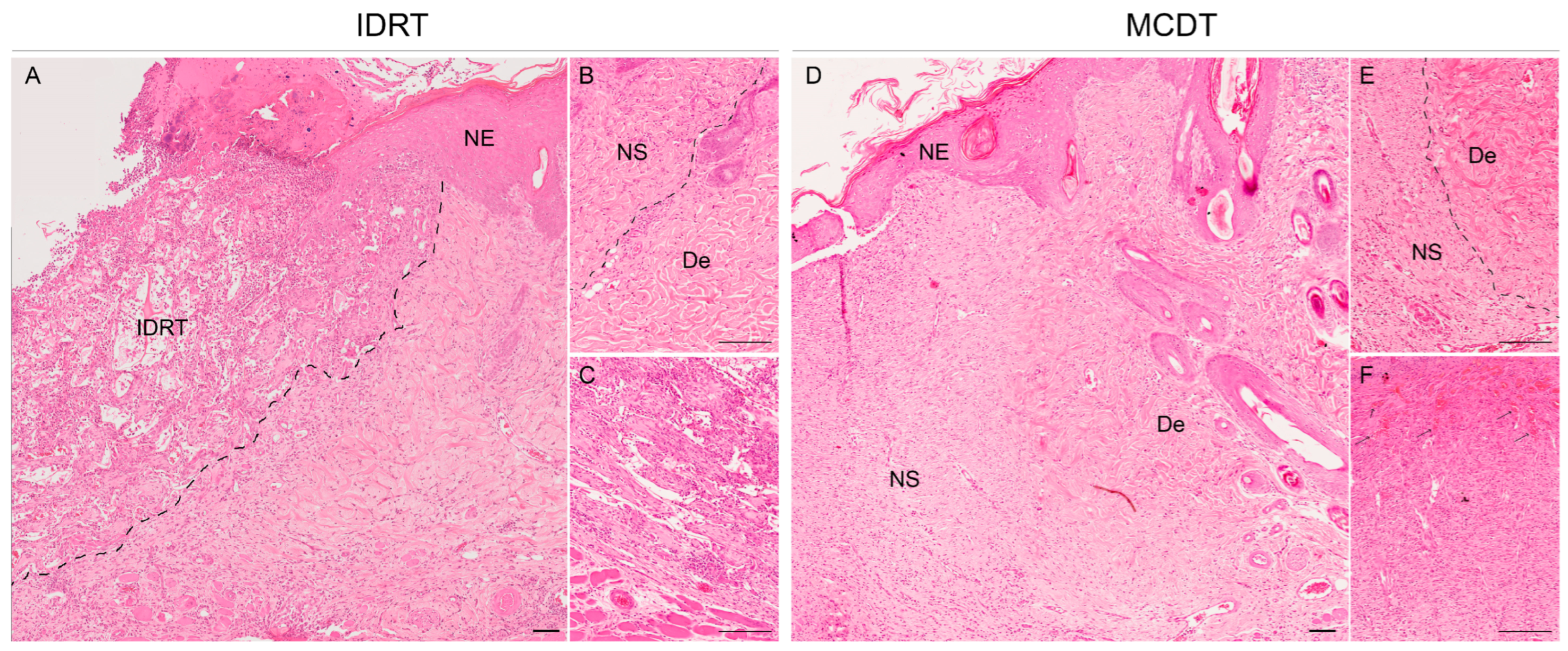 Marinedrugs 21 00506 g003