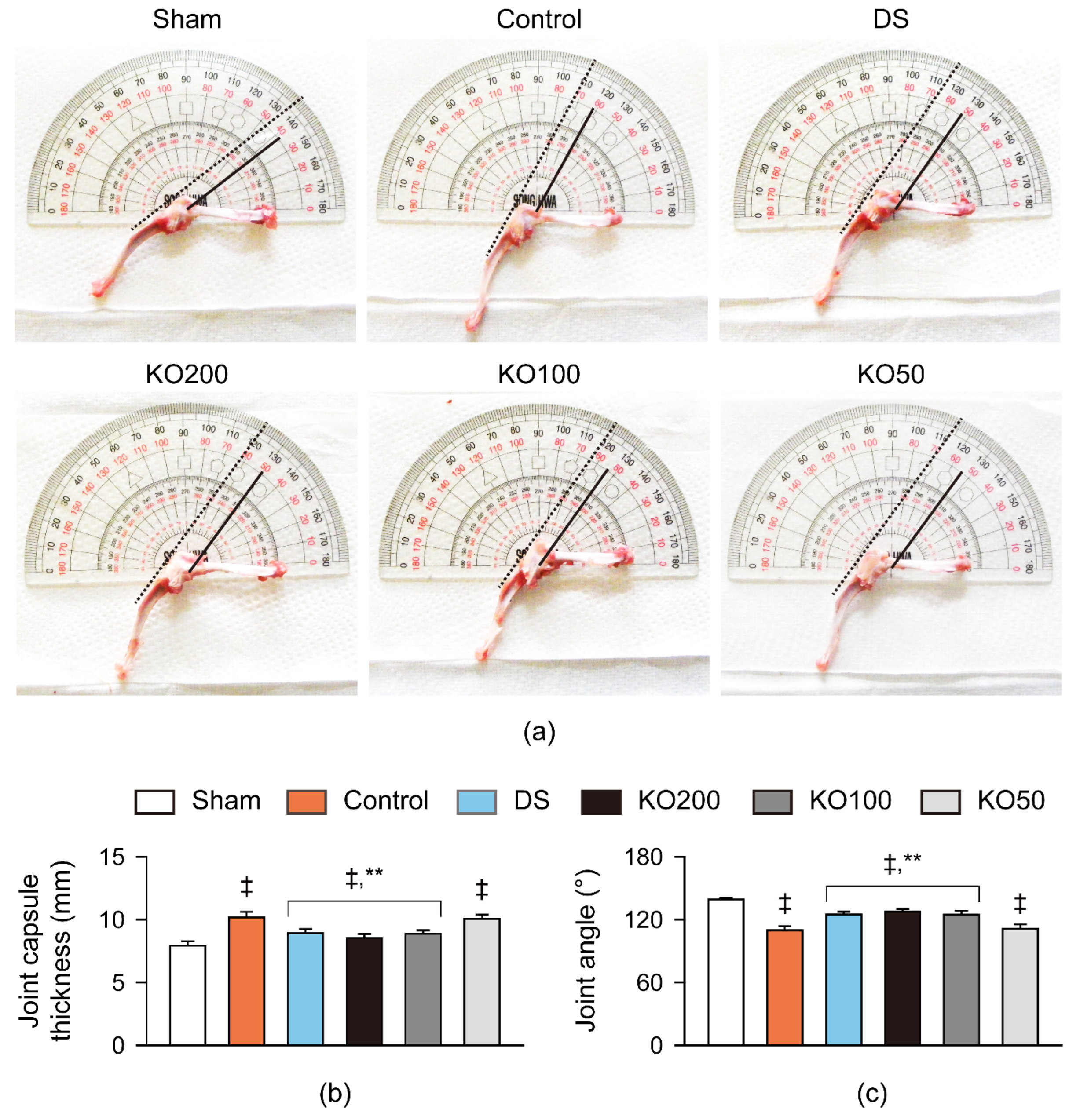 Marinedrugs 21 00513 g003