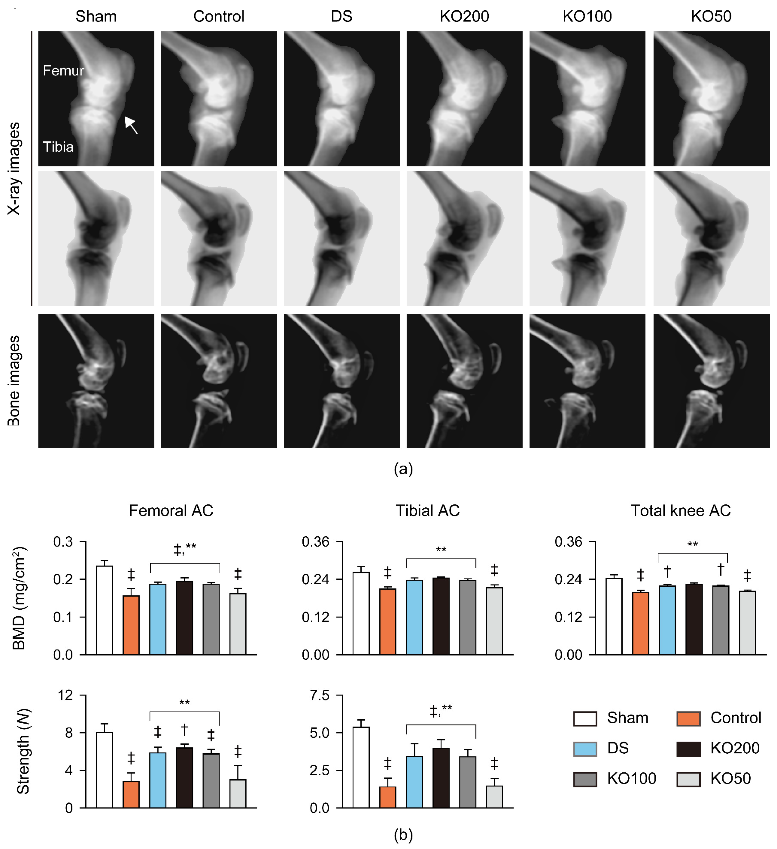 Marinedrugs 21 00513 g004