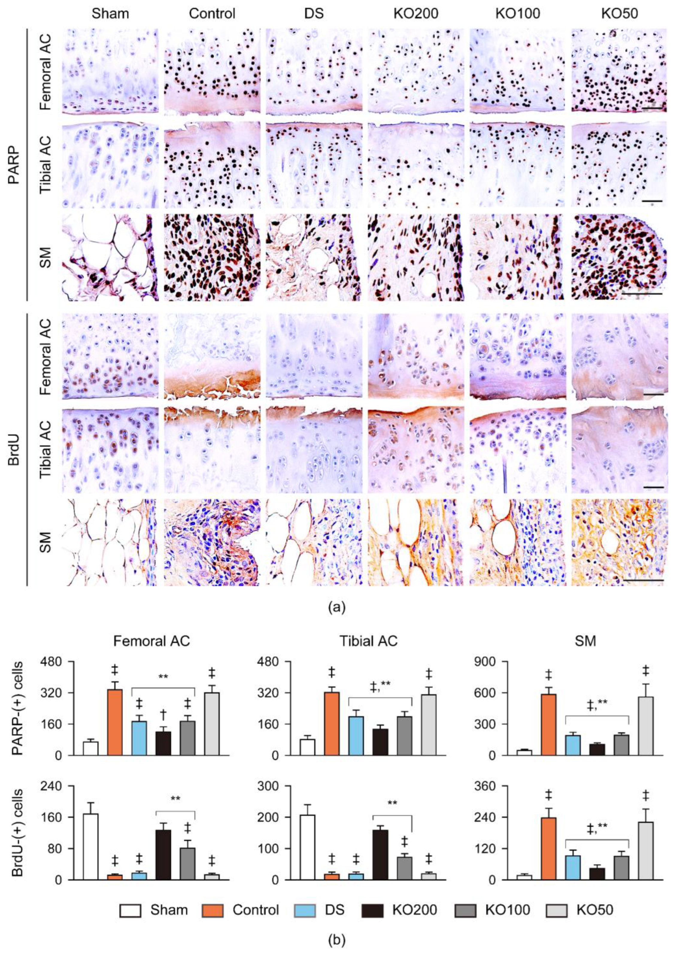 Marinedrugs 21 00513 g010