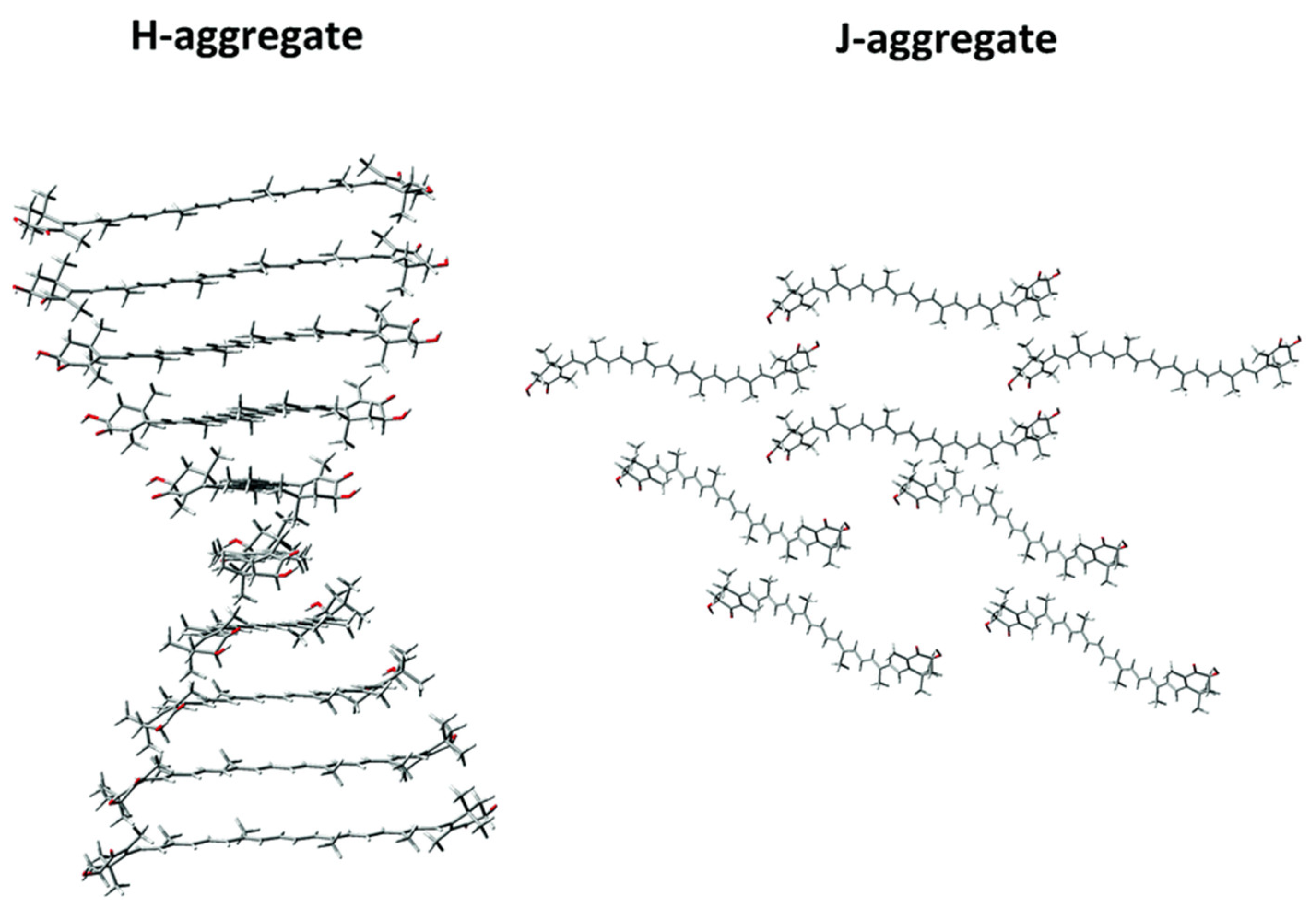 Marinedrugs 21 00514 g004 Marinedrugs 21 00514 g004