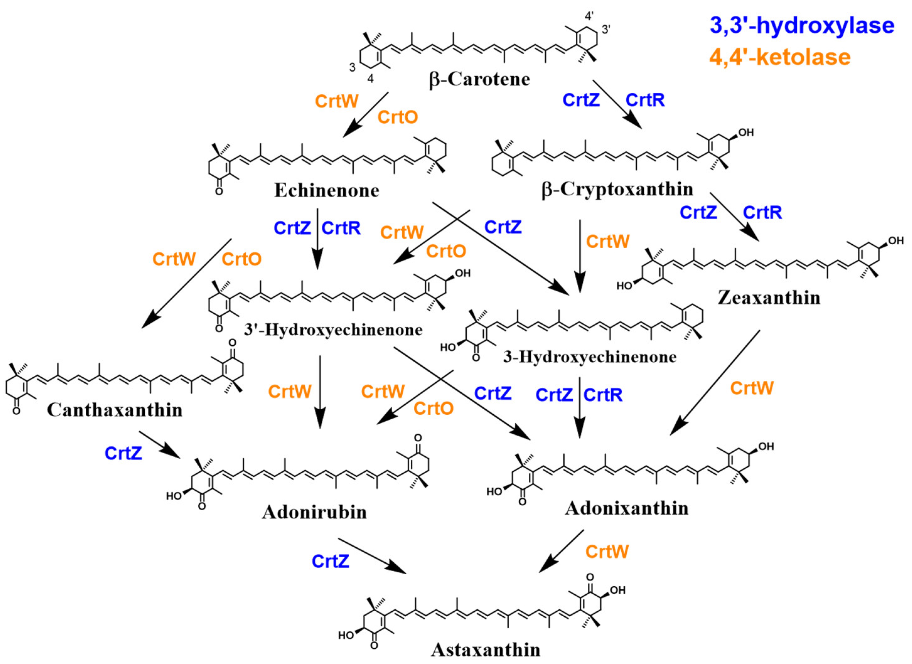Marinedrugs 21 00514 g008 Marinedrugs 21 00514 g008