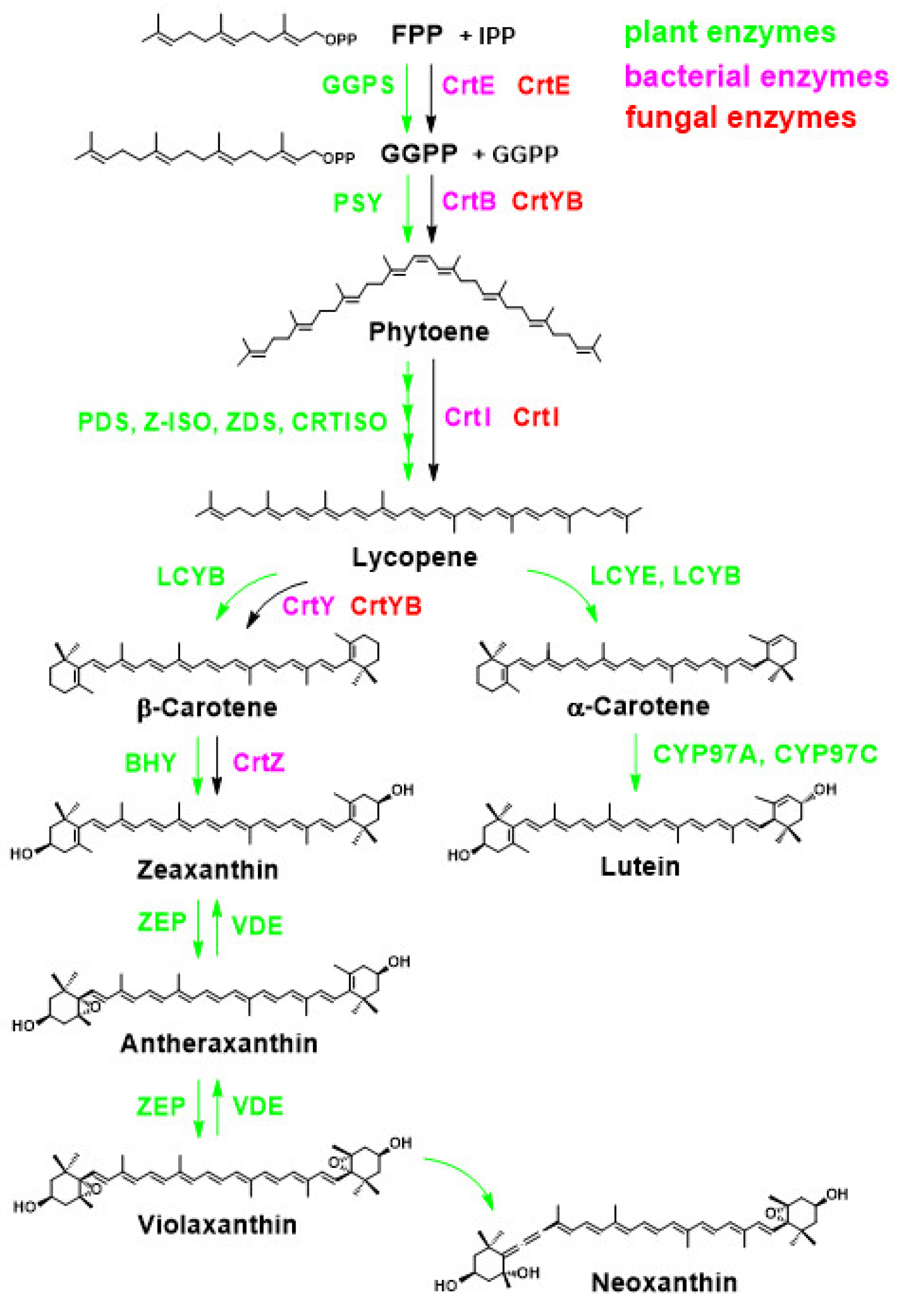 Marinedrugs 21 00514 g010 Marinedrugs 21 00514 g010