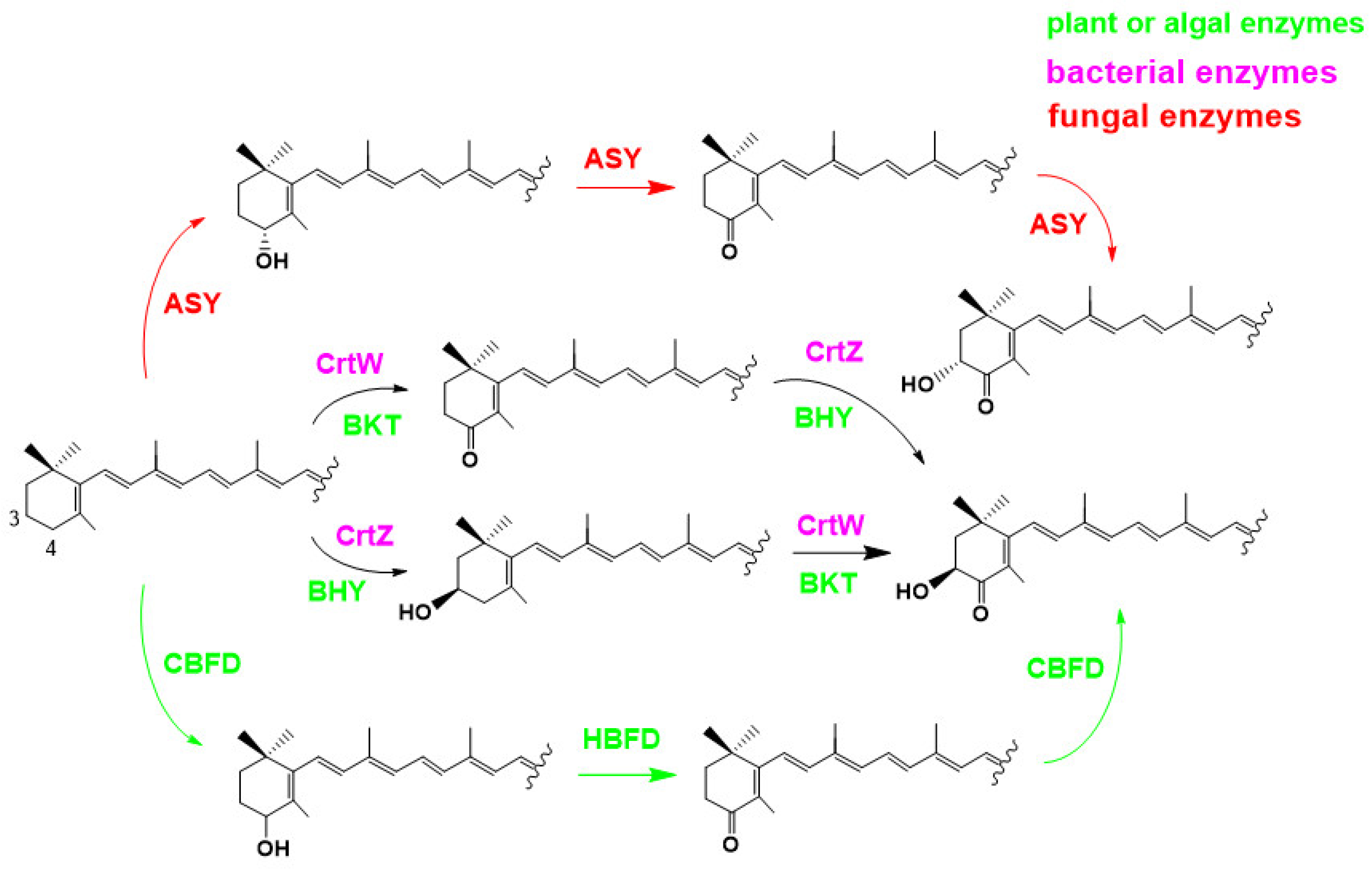 Marinedrugs 21 00514 g011 Marinedrugs 21 00514 g011
