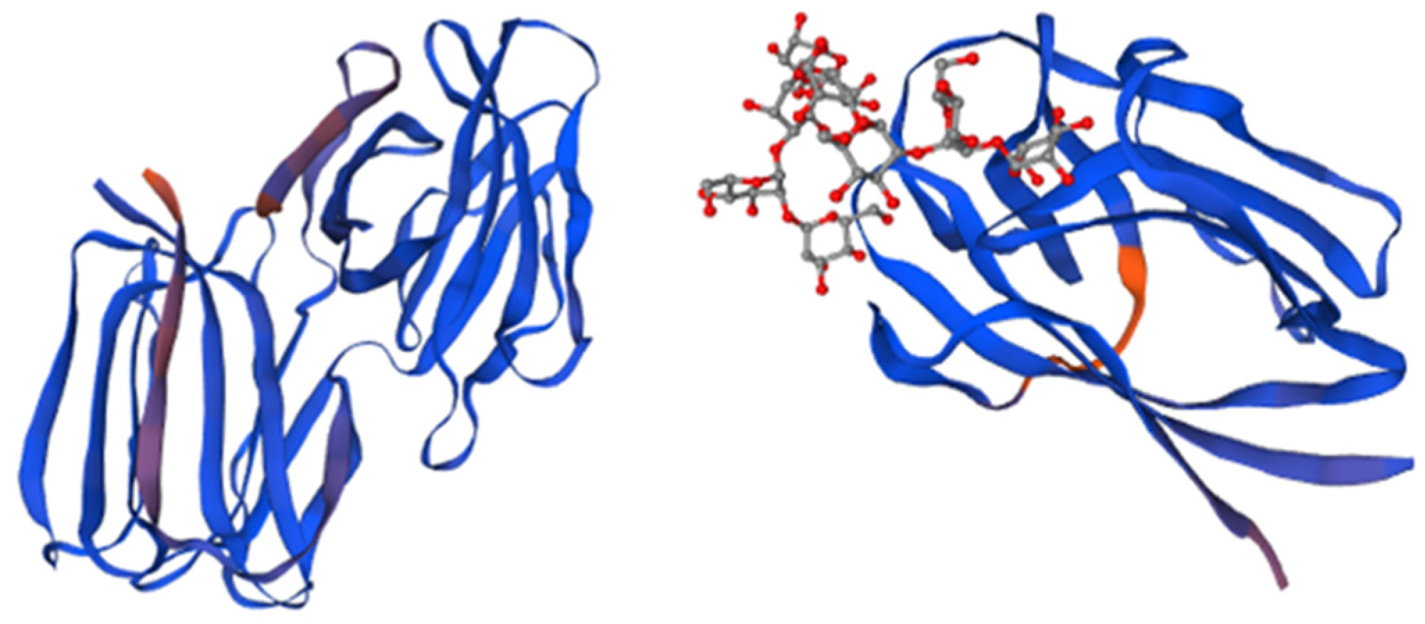 Marinedrugs 21 00515 g001 Marinedrugs 21 00515 g001