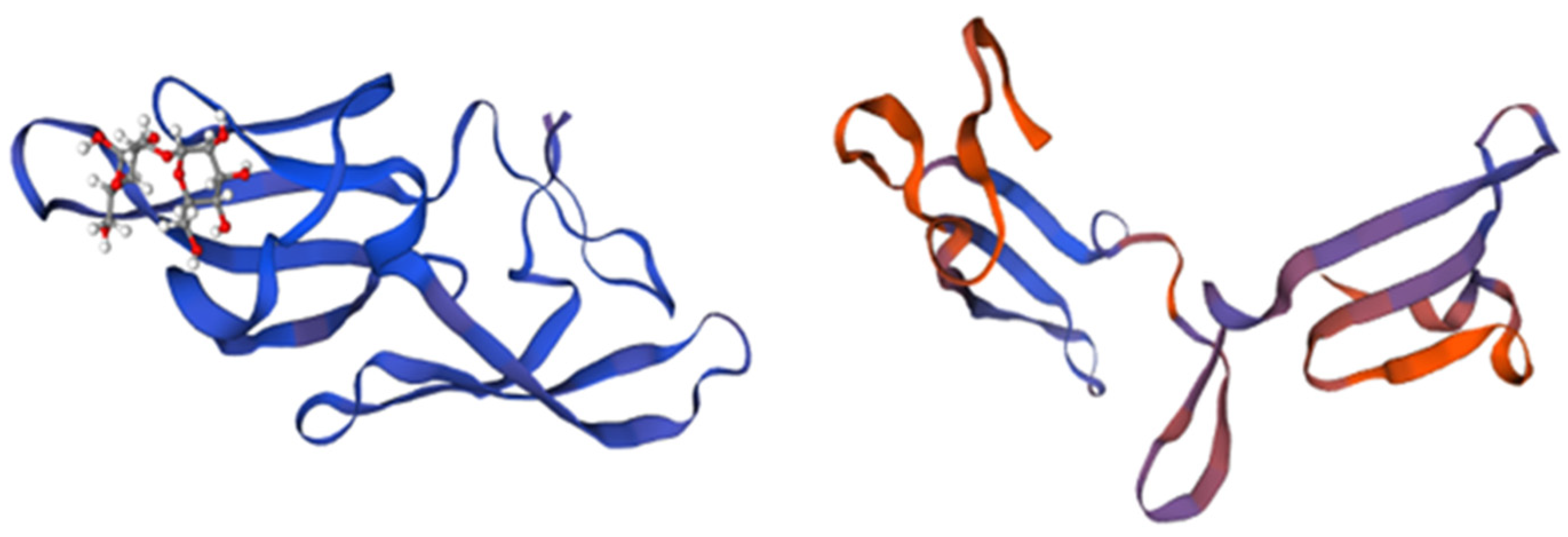 Marinedrugs 21 00515 g004 Marinedrugs 21 00515 g004