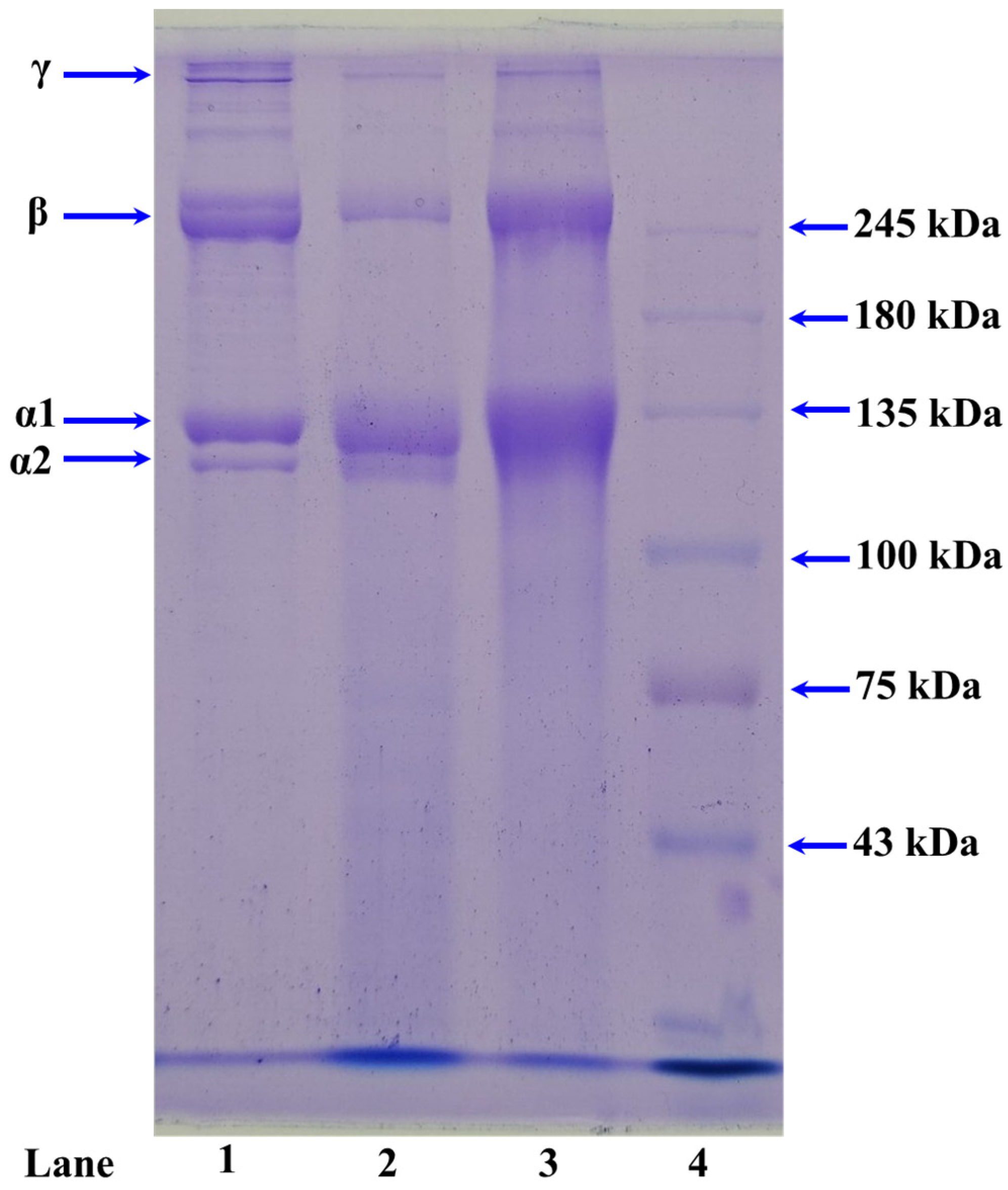 Marinedrugs 21 00516 g001