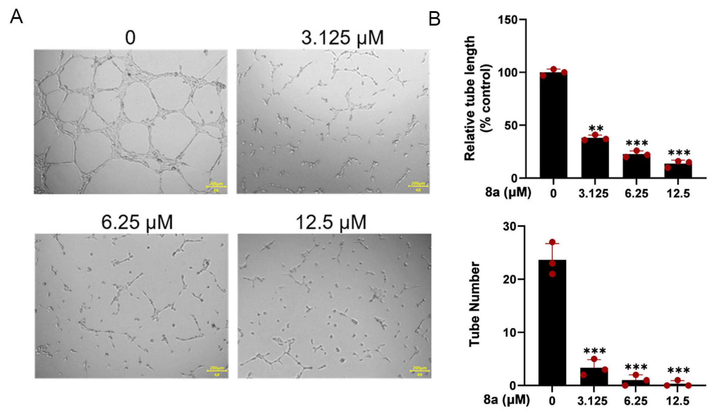 Marinedrugs 21 00517 g003 Marinedrugs 21 00517 g003