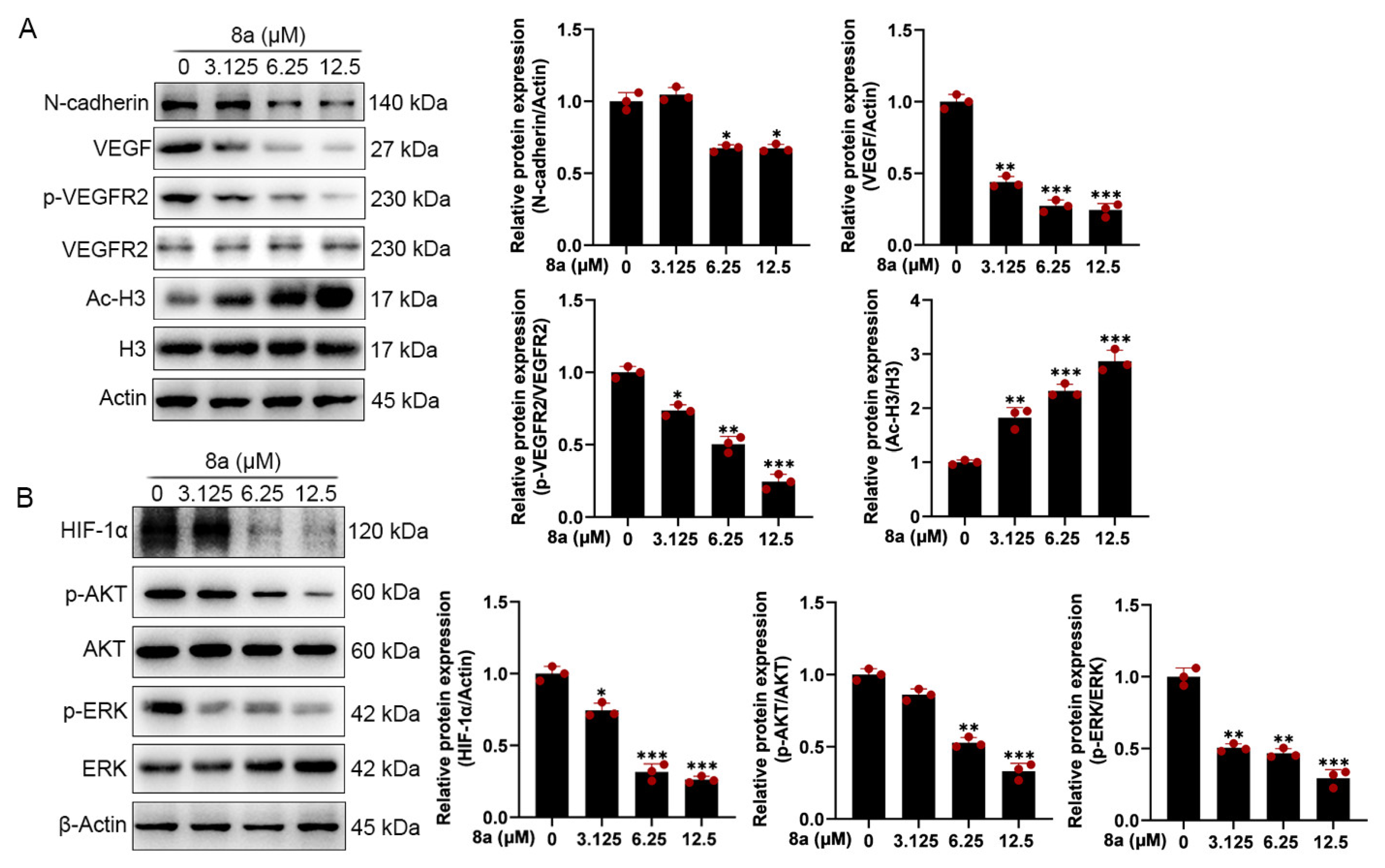 Marinedrugs 21 00517 g004 Marinedrugs 21 00517 g004