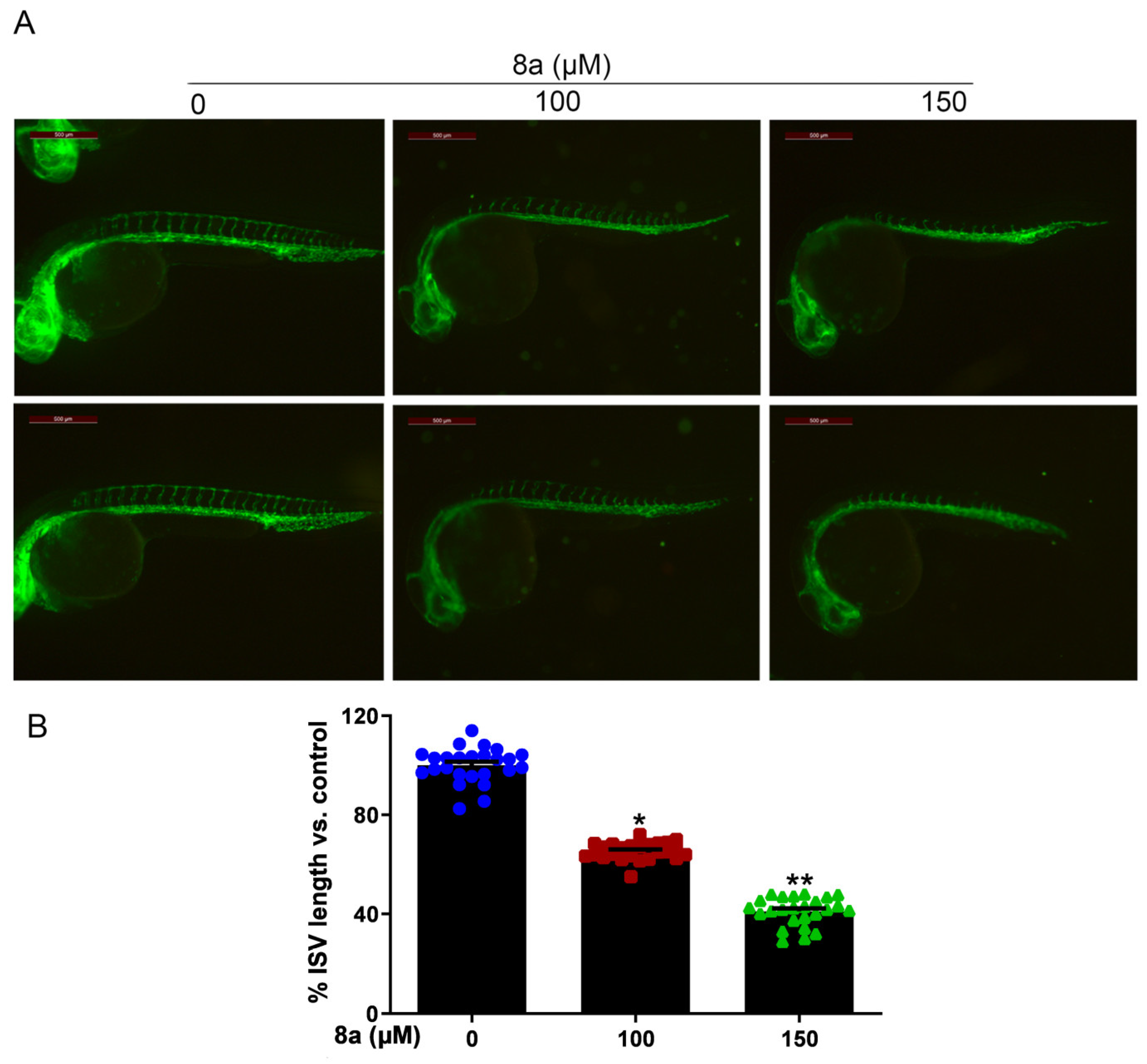 Marinedrugs 21 00517 g005 Marinedrugs 21 00517 g005