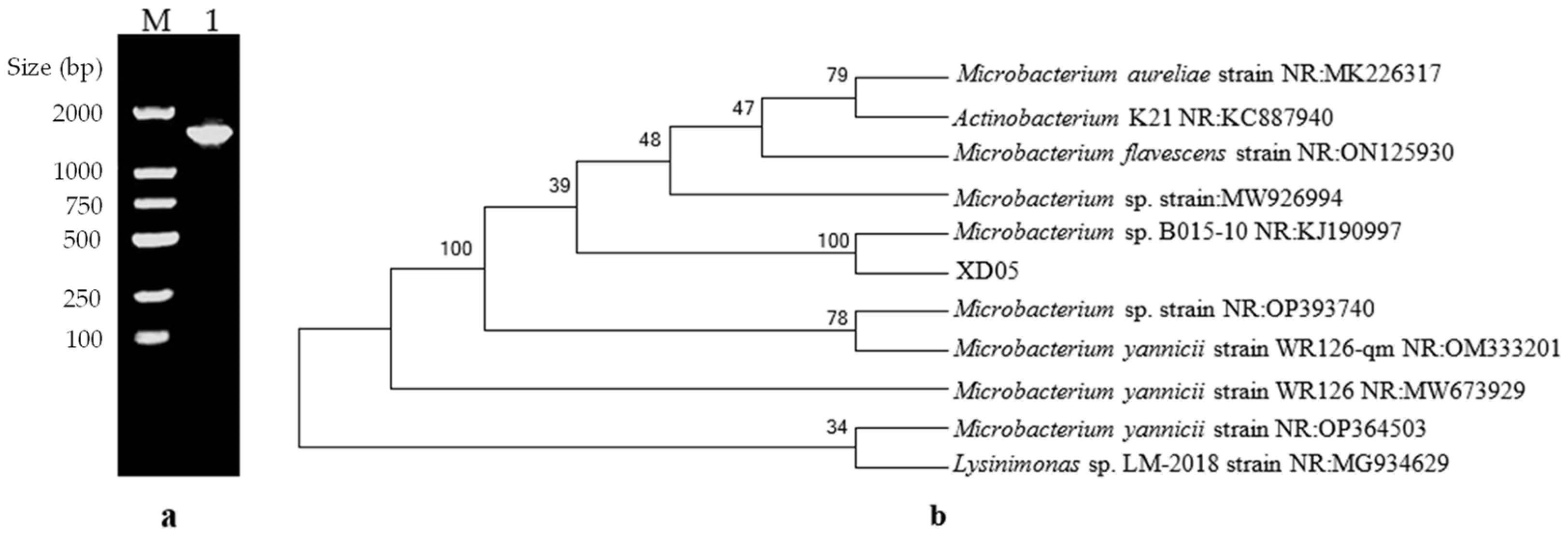 Marinedrugs 21 00528 g002