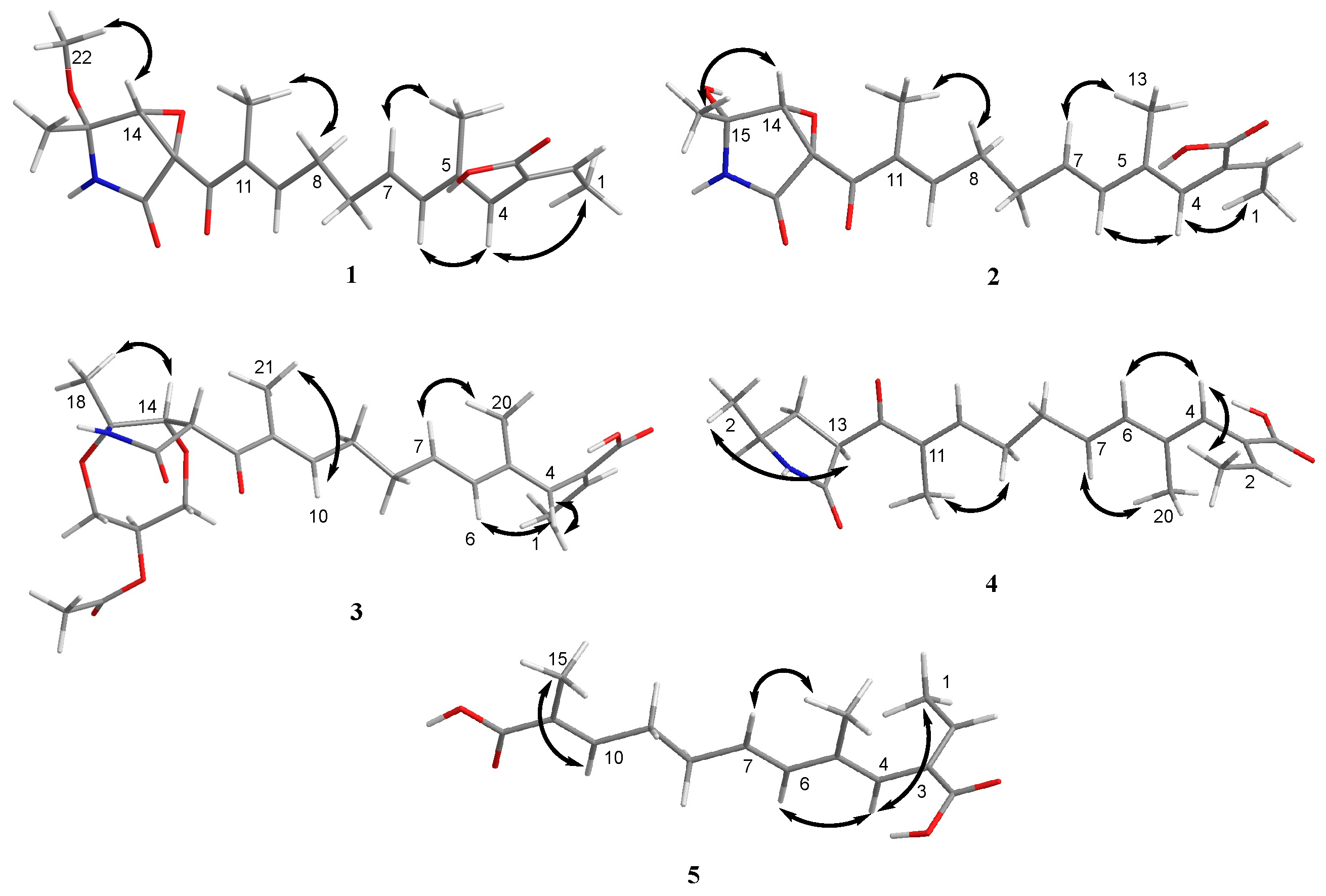 Marinedrugs 21 00532 g004
