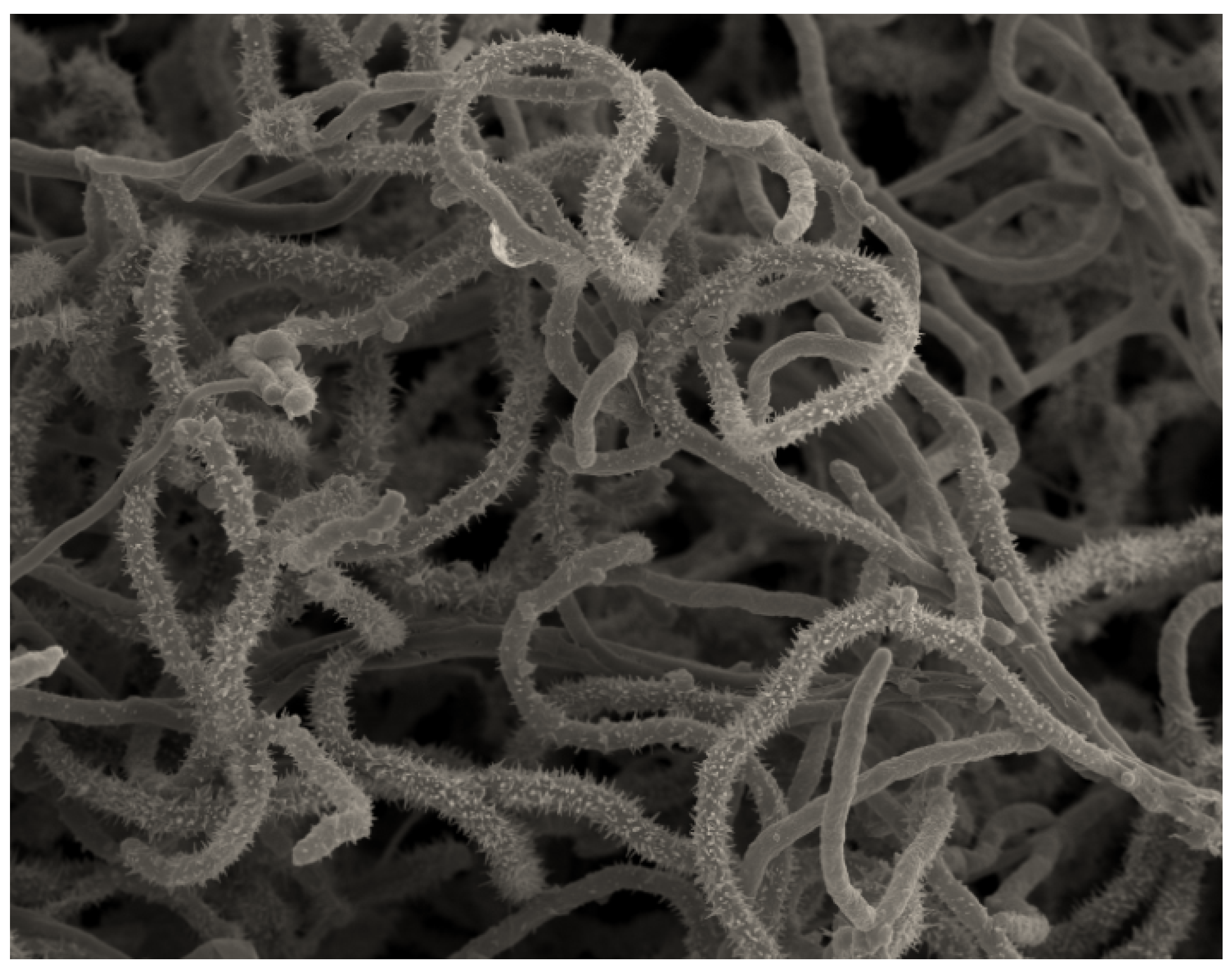 Marinedrugs 21 00536 g003