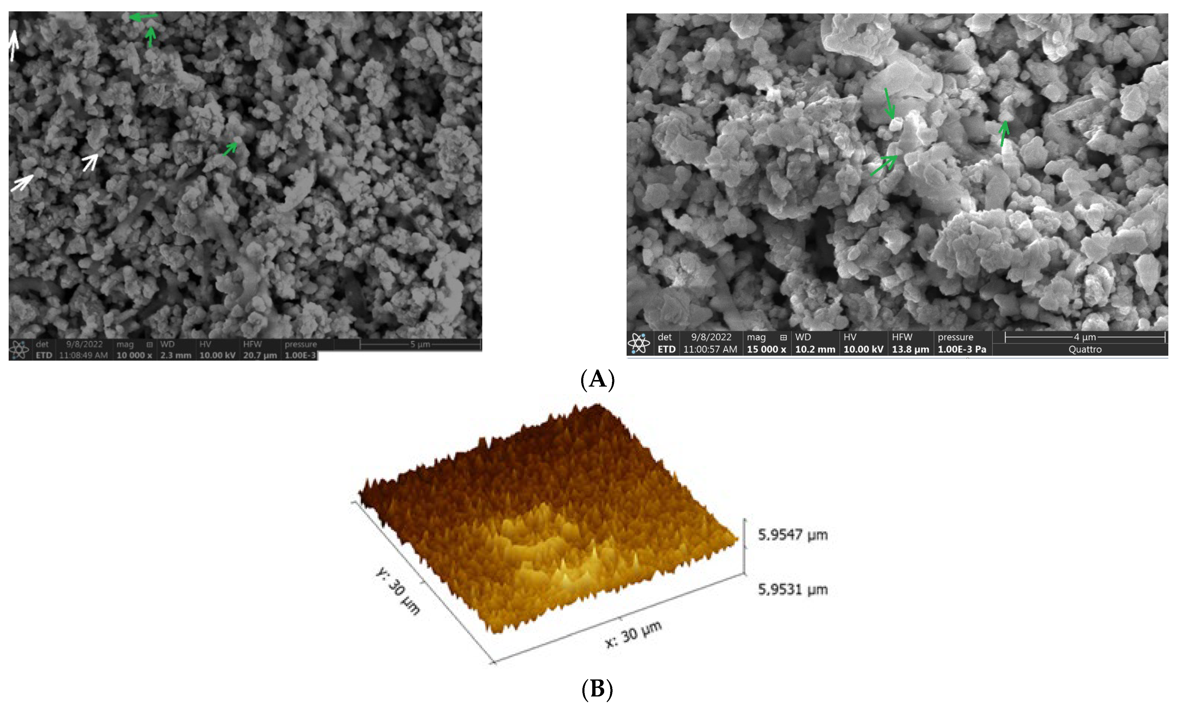 Marinedrugs 21 00536 g007