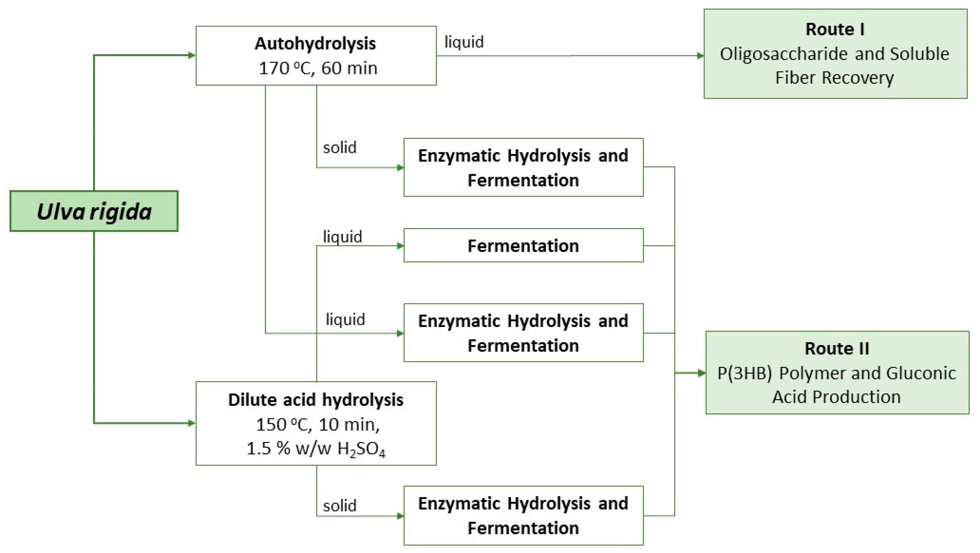 Marinedrugs 21 00537 g004